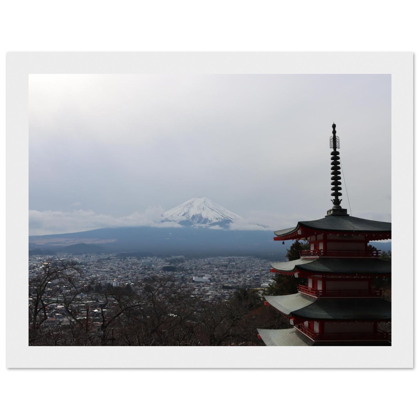 bc986a16-8a2b-452f-8551-721d4a4e2a59