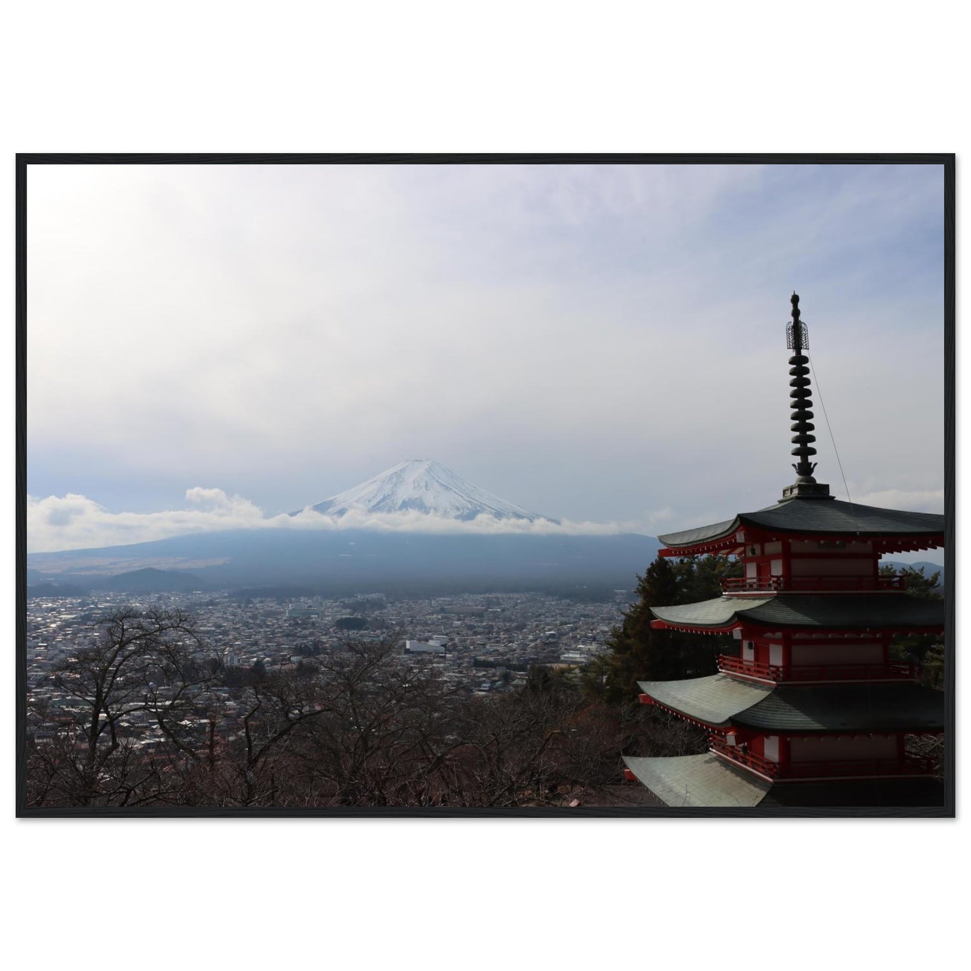 bd266d1a-bb6e-4d87-810a-7ee21e32ef4f