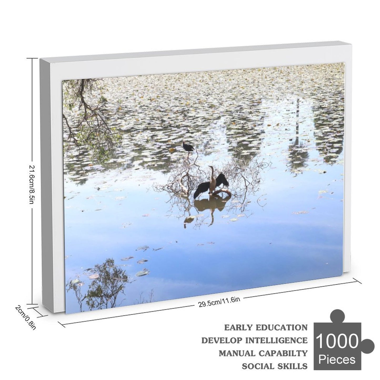 Bird in park lake - 1000-Piece Jigsaw Puzzle