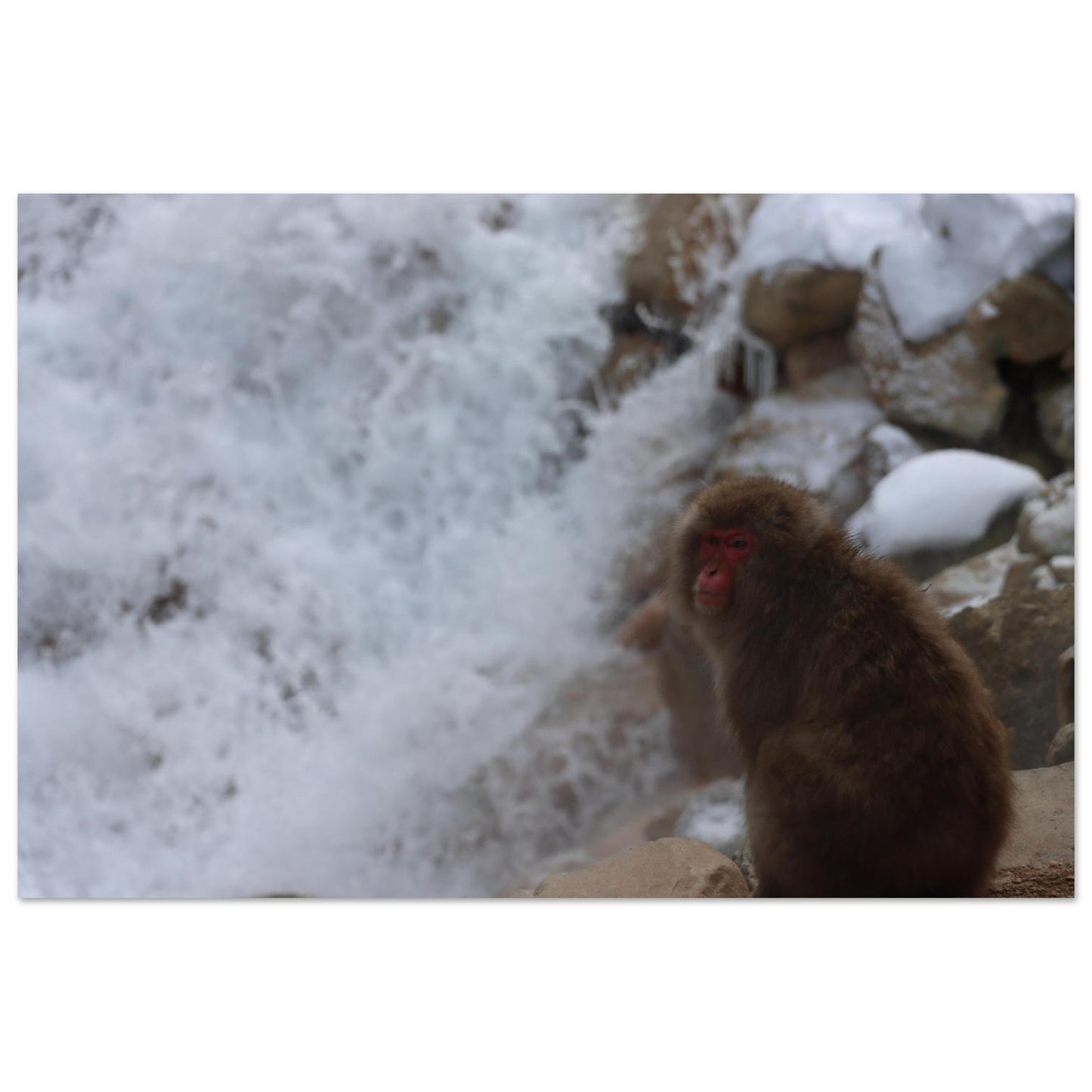 be3ce777-e3be-49d0-878b-36c362486104