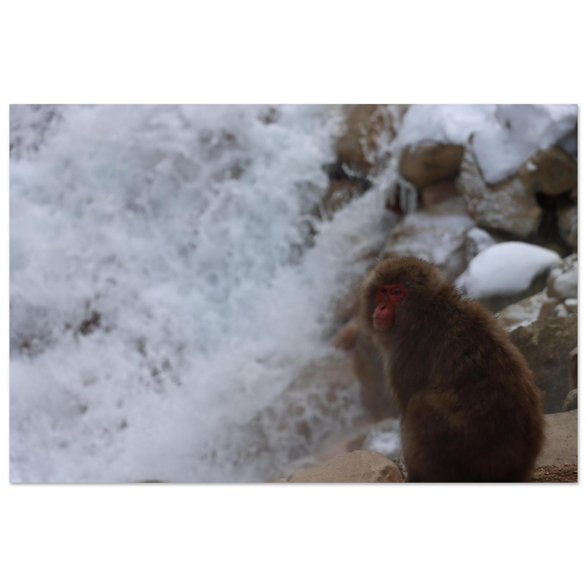 be3ce777-e3be-49d0-878b-36c362486104