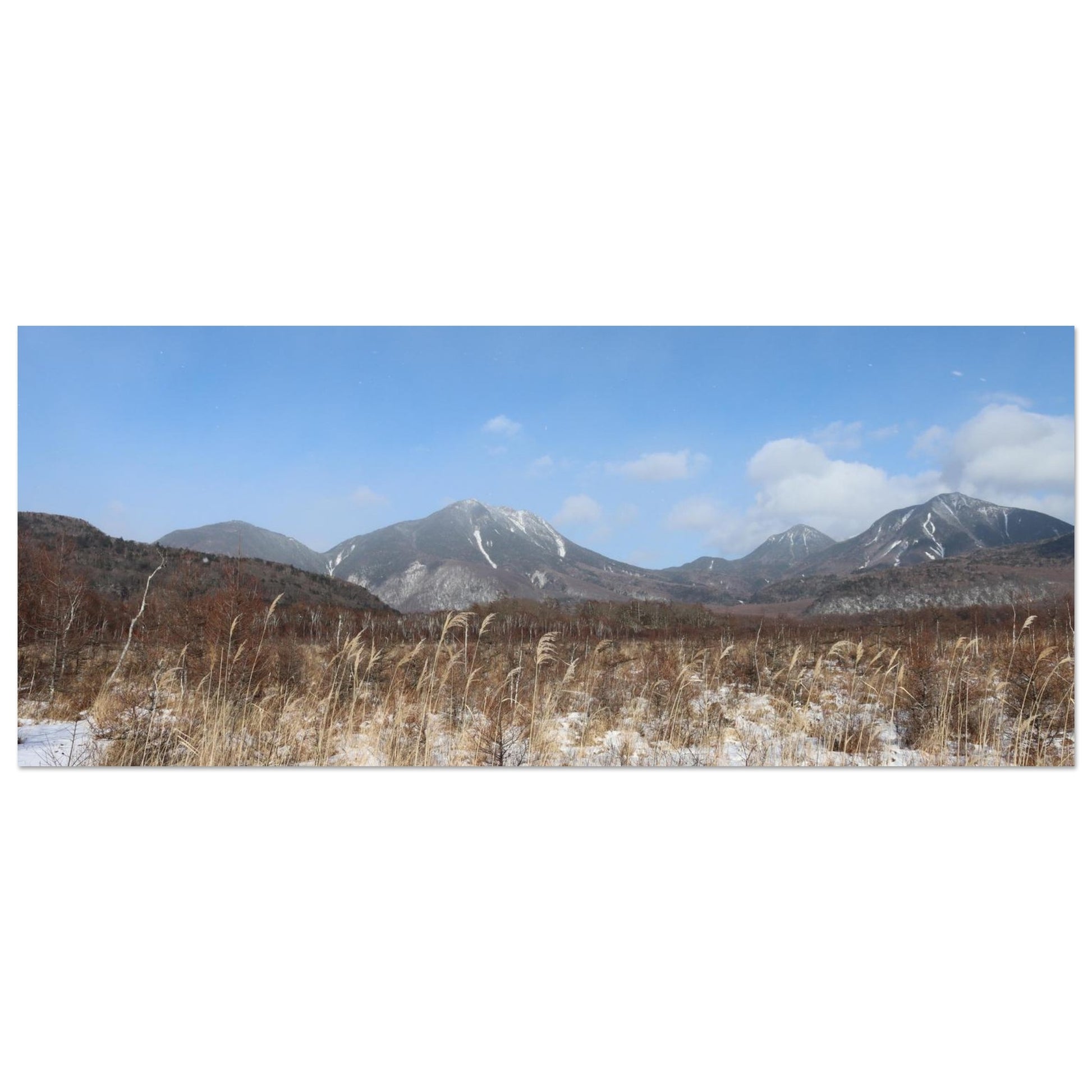 c58dd340-958f-48d4-9827-3ef1b05d7b4a