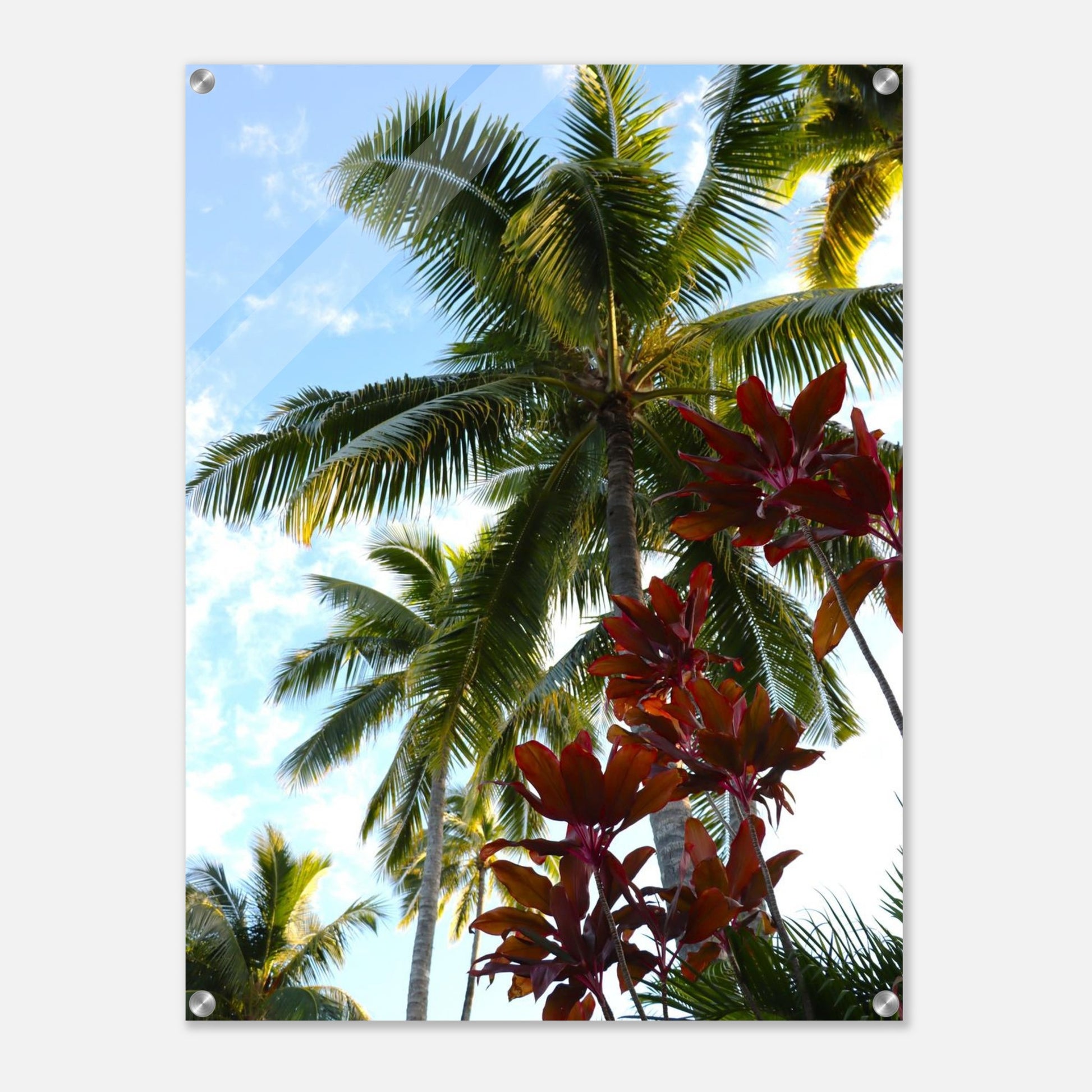 c611c312-a30f-44c3-b315-0b5c5f0f9bbe