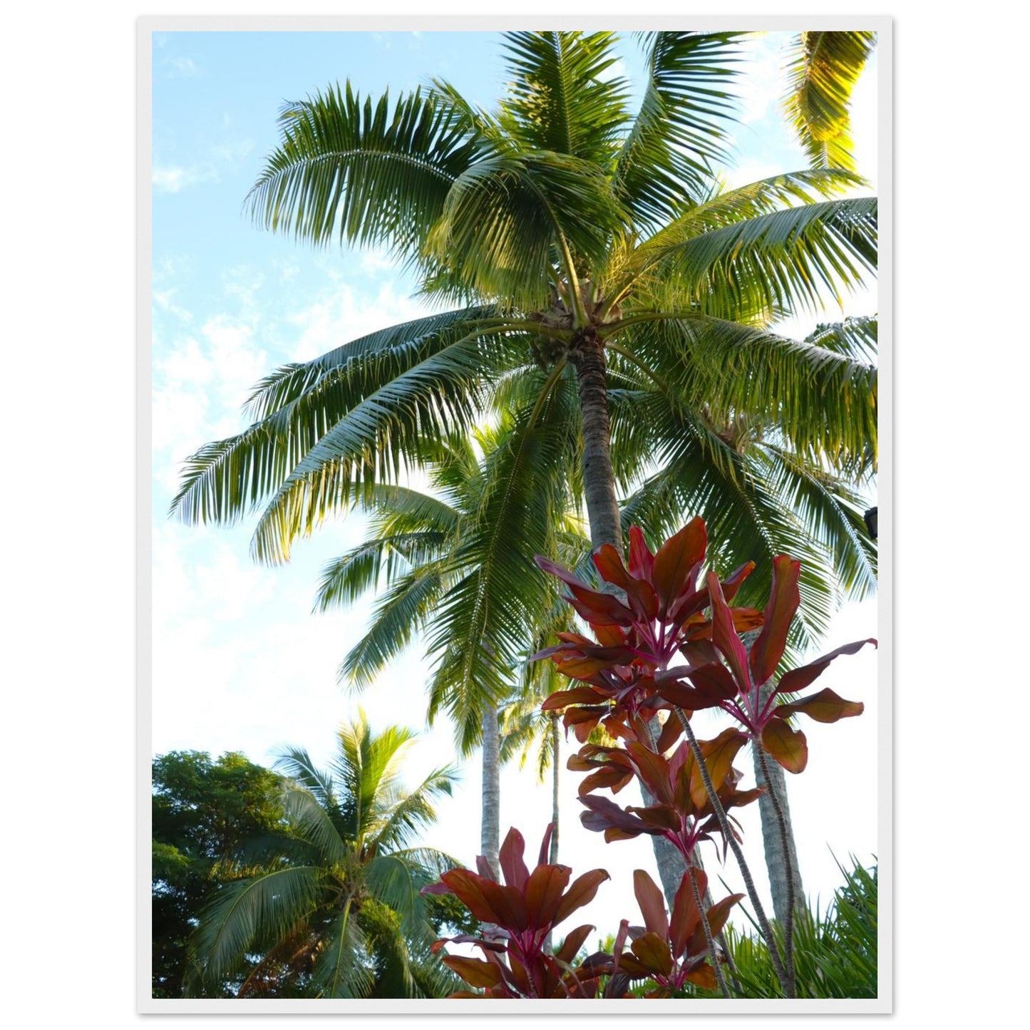 c8707201-c6b2-4bd7-87a2-91b31ac486ba