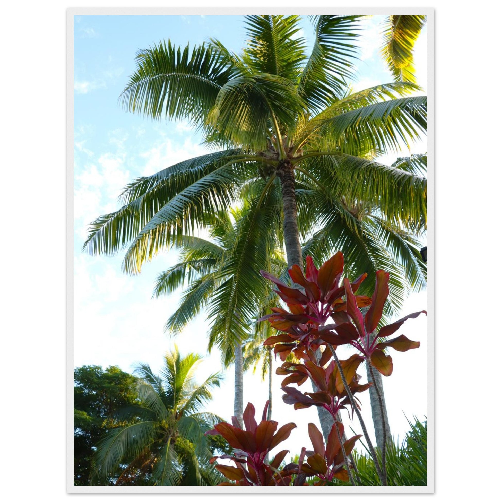 c8707201-c6b2-4bd7-87a2-91b31ac486ba