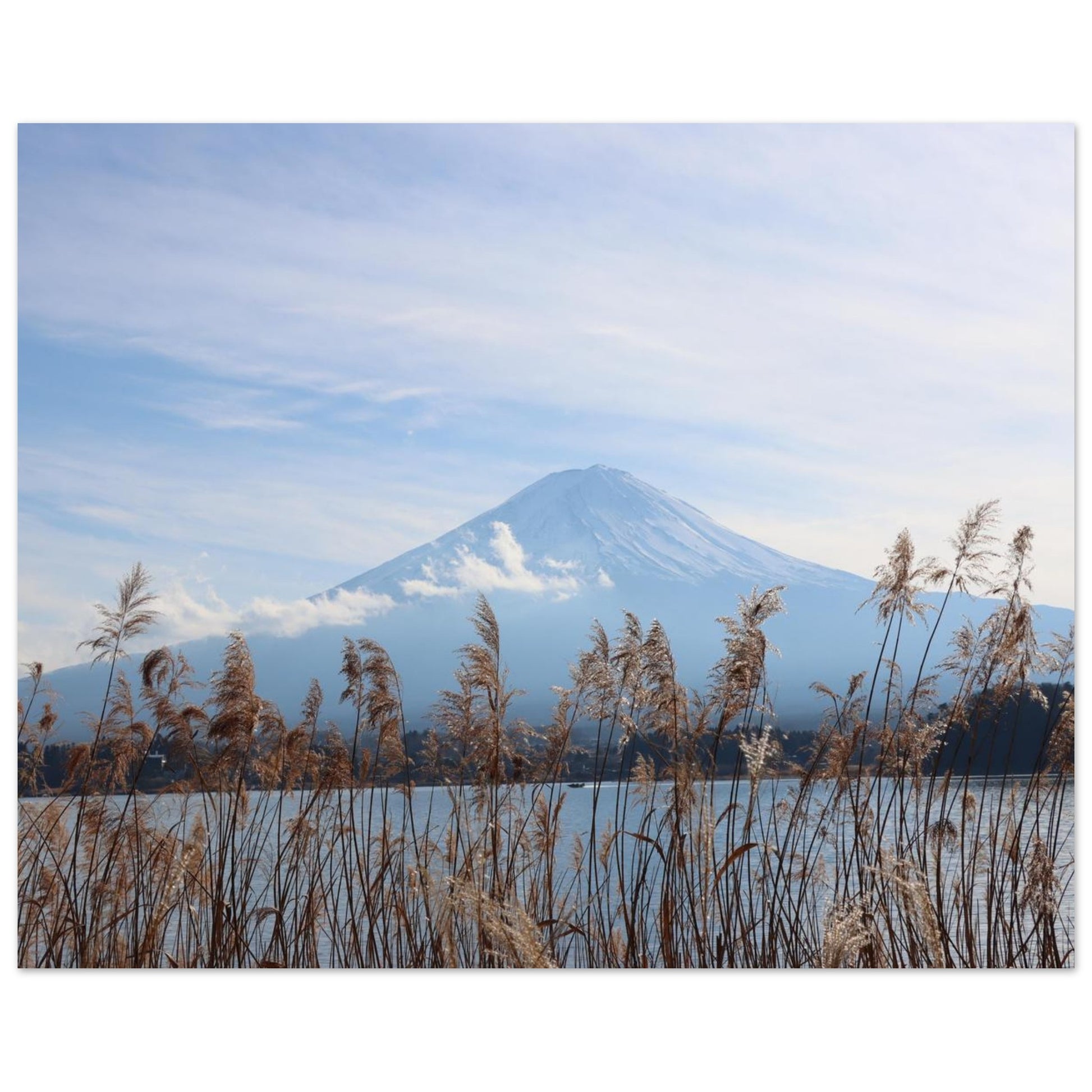 c904d197-0ba7-472f-b503-1352490ed7b4