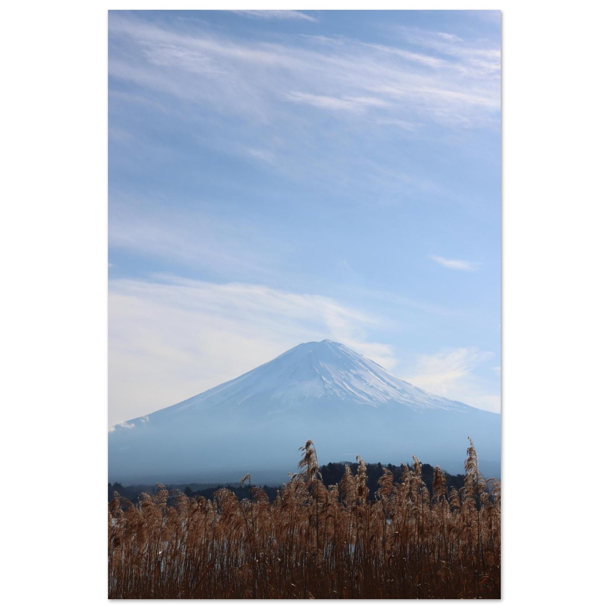 cb39eb31-0076-4b16-9969-df4b85913b8e
