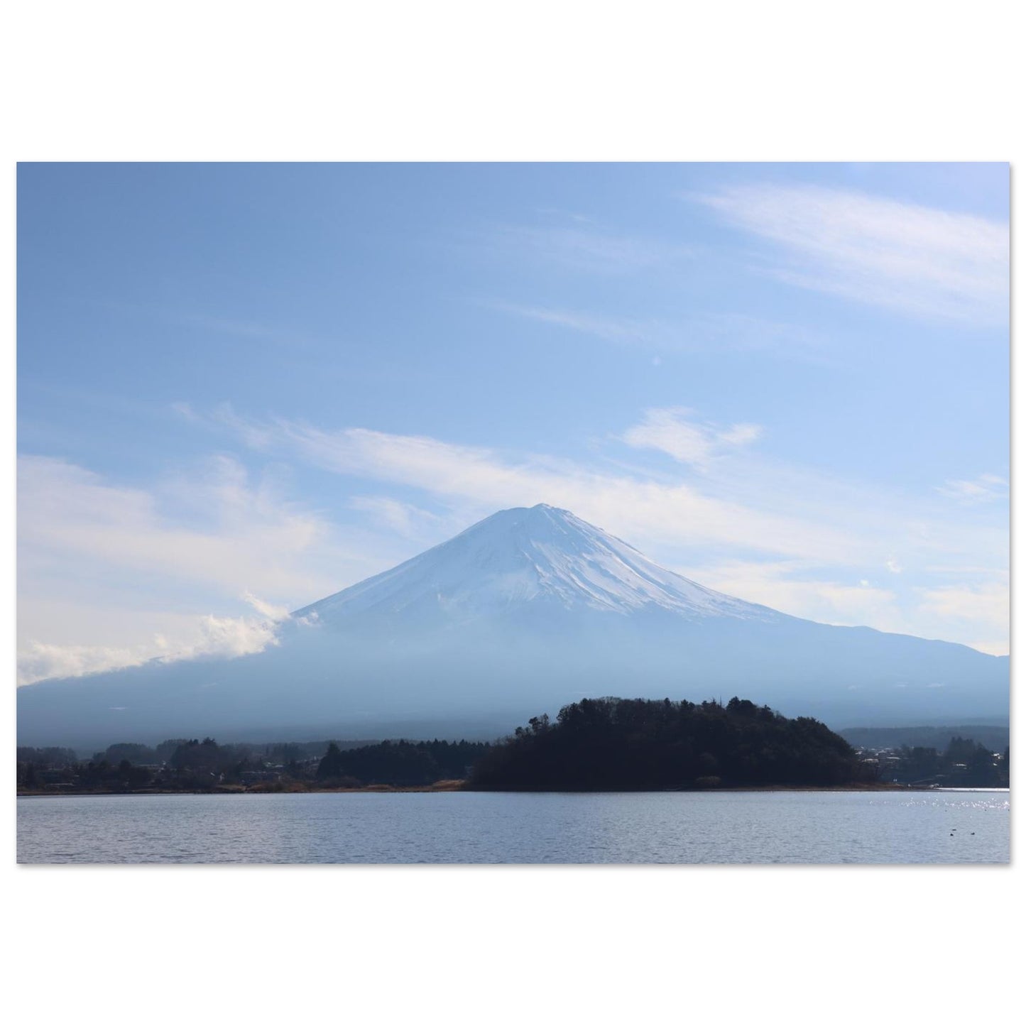 cccb0216-b07e-4524-833c-fabcb87d2f5b