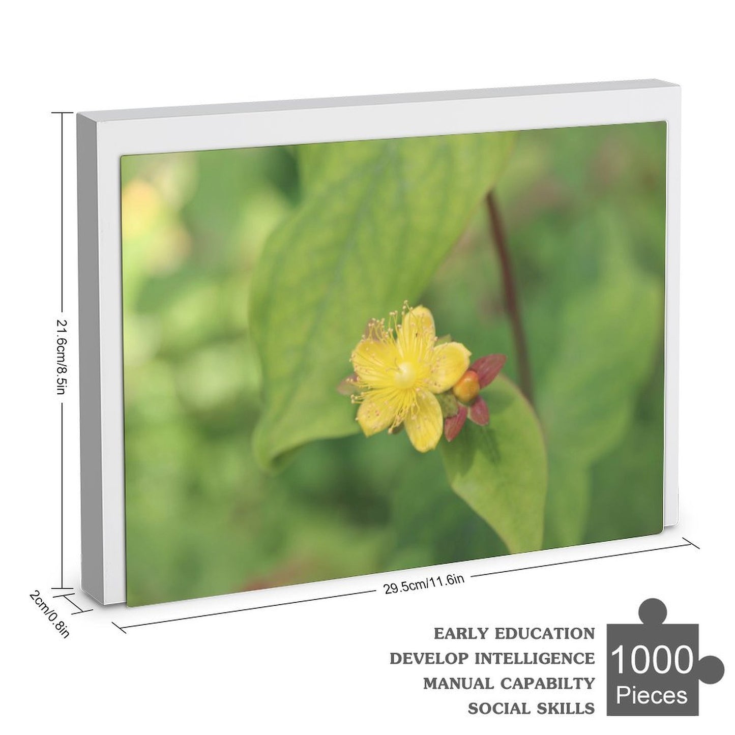 Hypericum androsaemum blooming - 1000-Piece Jigsaw Puzzle