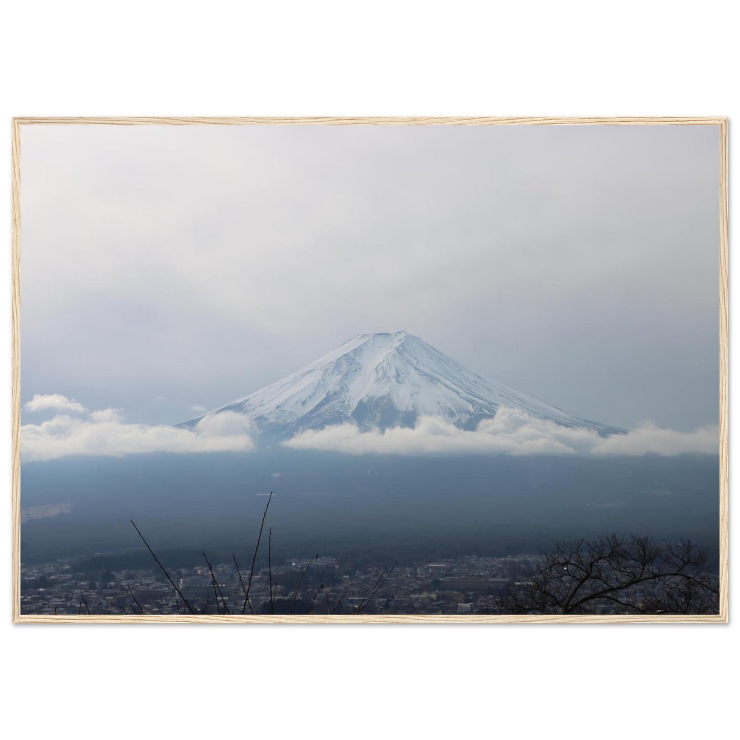 cebb56ed-c3c3-49d8-a7c0-7941c246c939