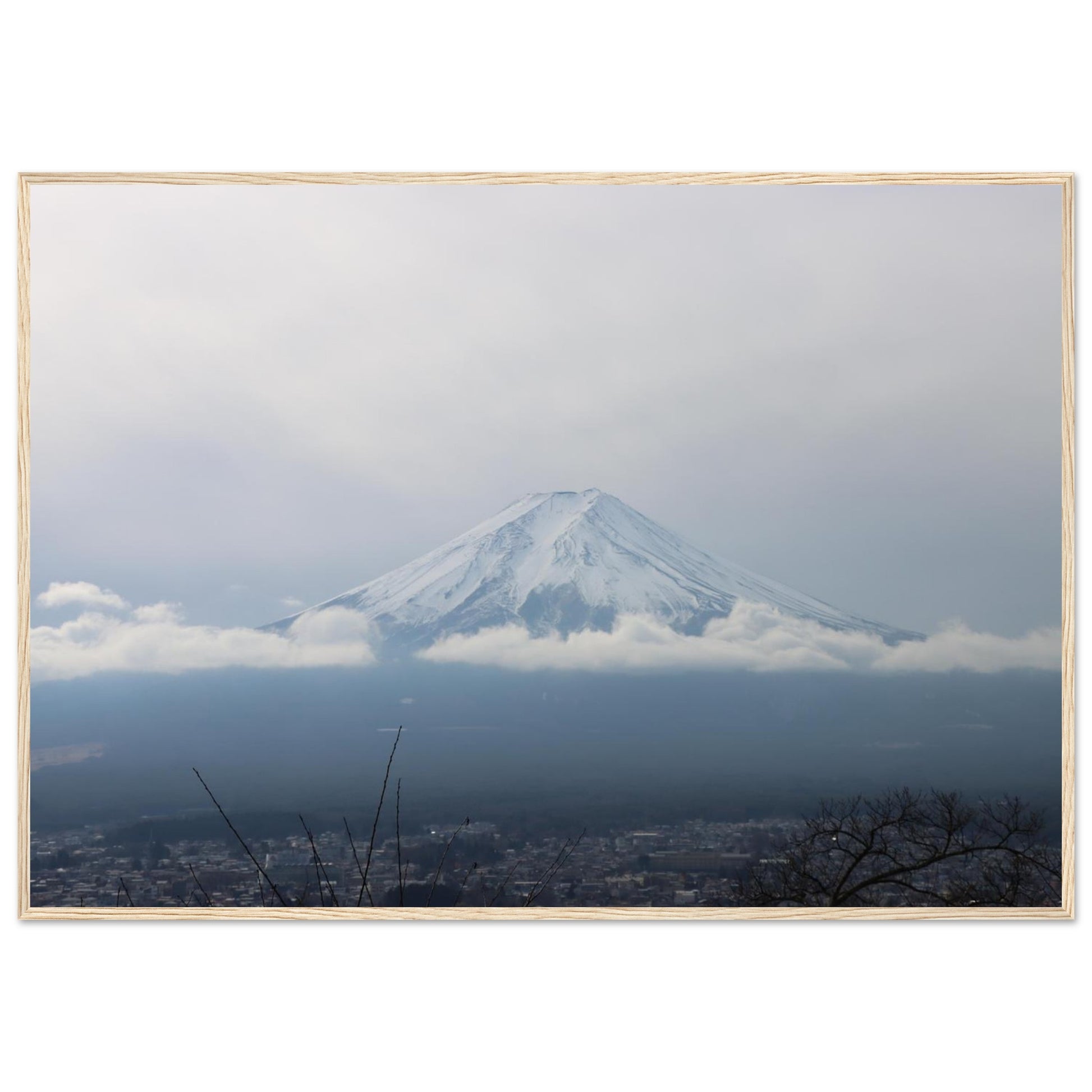 cebb56ed-c3c3-49d8-a7c0-7941c246c939