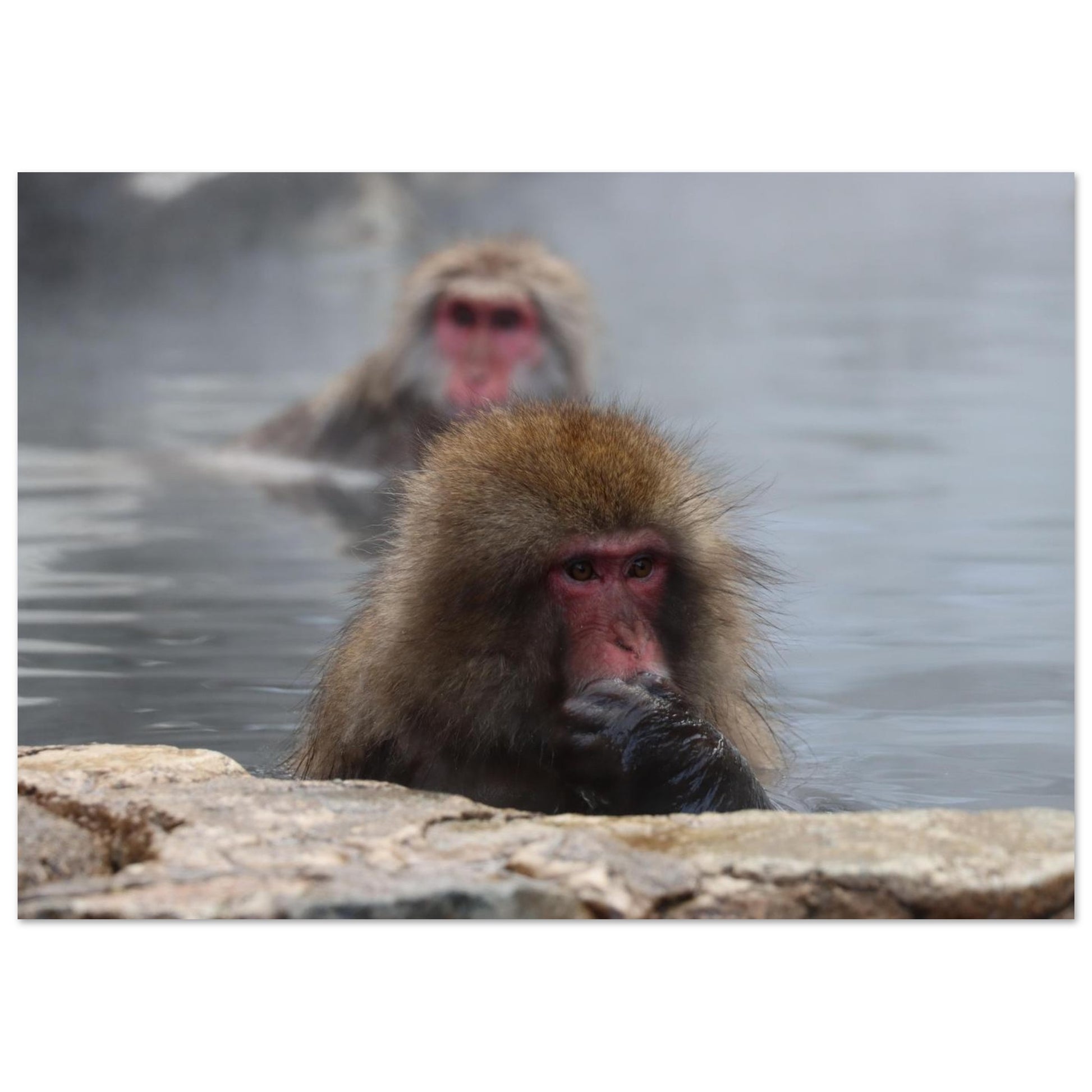 cee5b37a-14f8-4663-b7bc-6392b4f93894