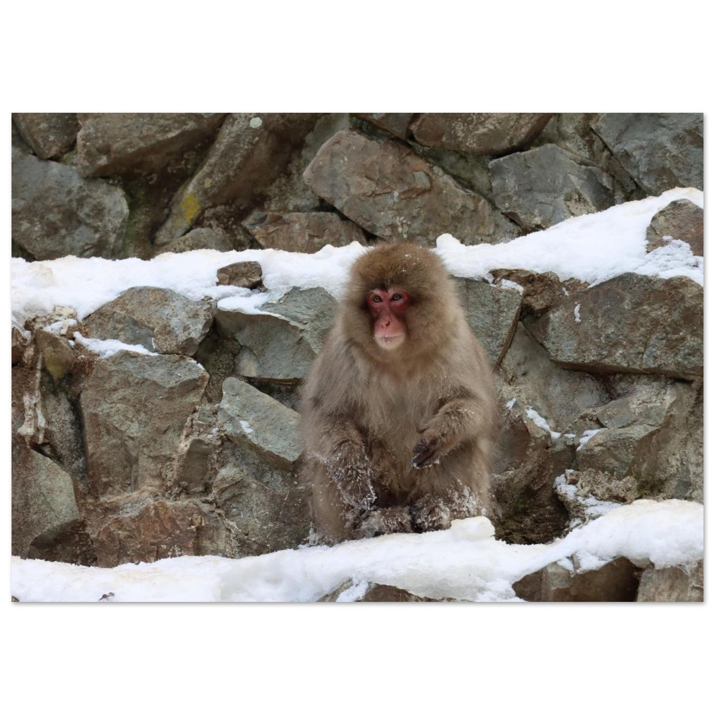 cffa6ecd-5356-4539-93d3-10be9fb6cba7