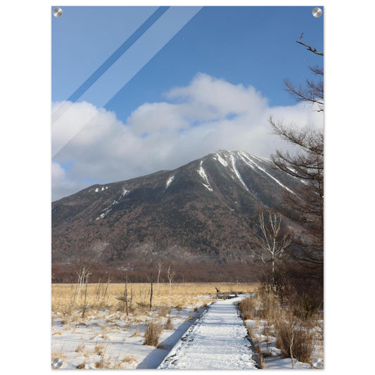 cffb0225-e4cc-4e9a-8447-65b3f2d1350d