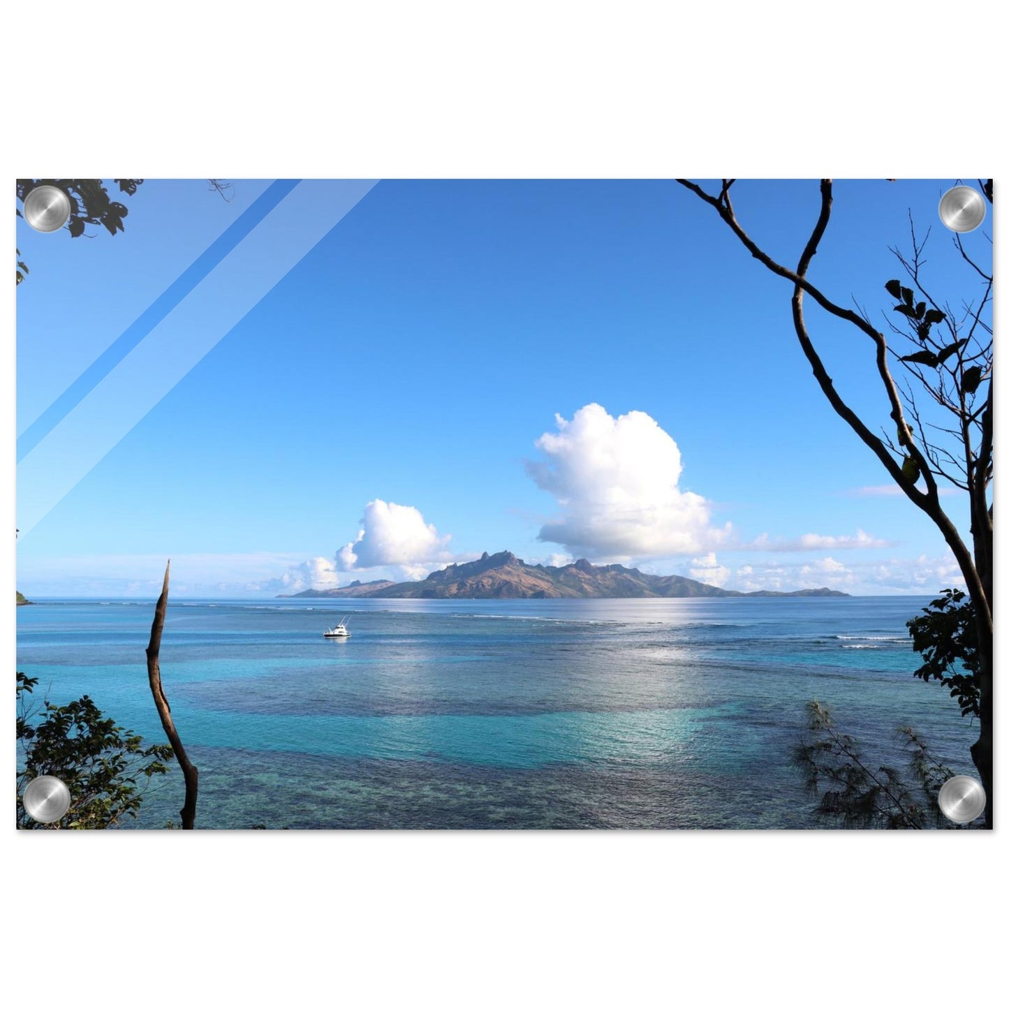 d00e4c8a-8328-496d-a3b0-f7b7a917ccf6