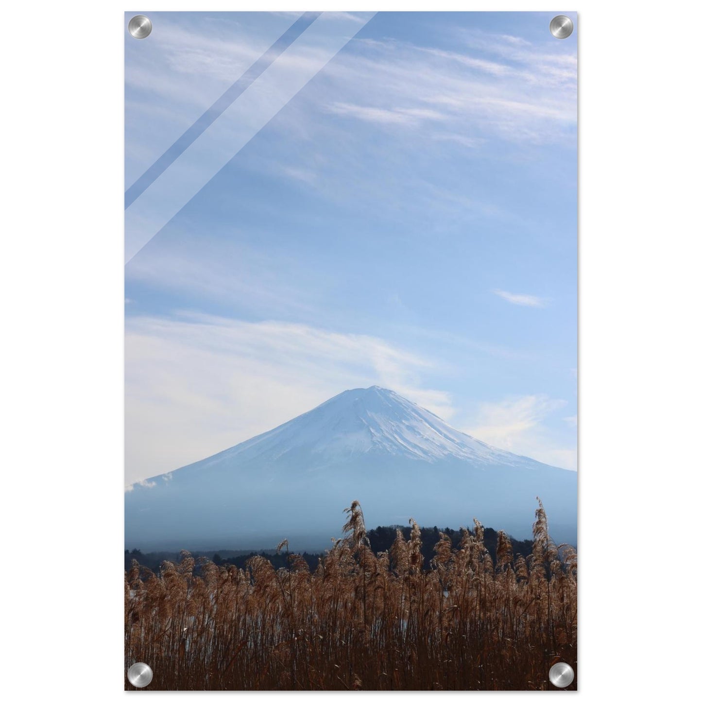 d06e1df0-085a-417b-a874-d9f7a7847bf2