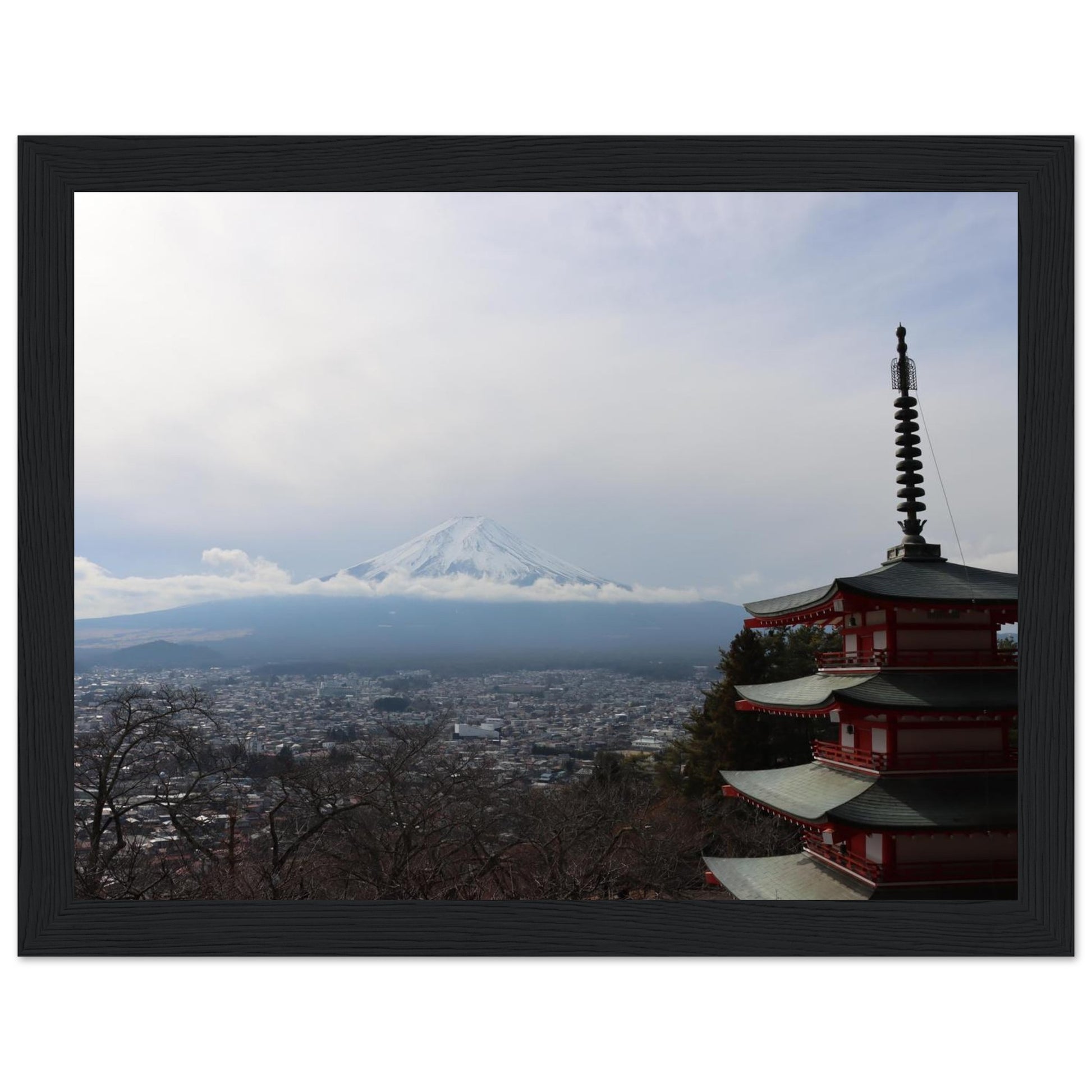 d0eb25e5-9691-44fc-839a-7b931e8ba53d