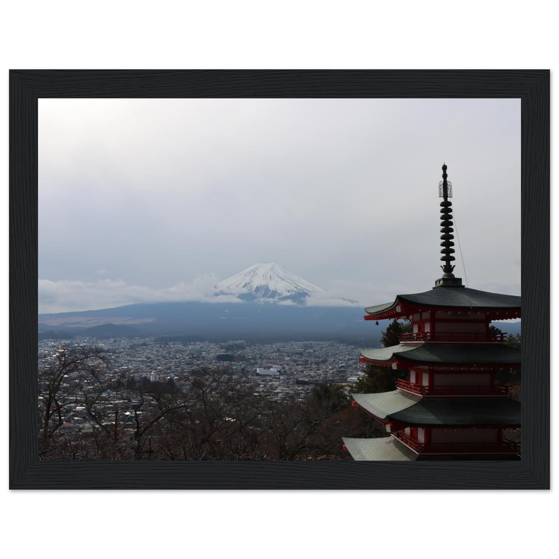 d215849f-1f24-4e3a-99c5-e1e55668a71d