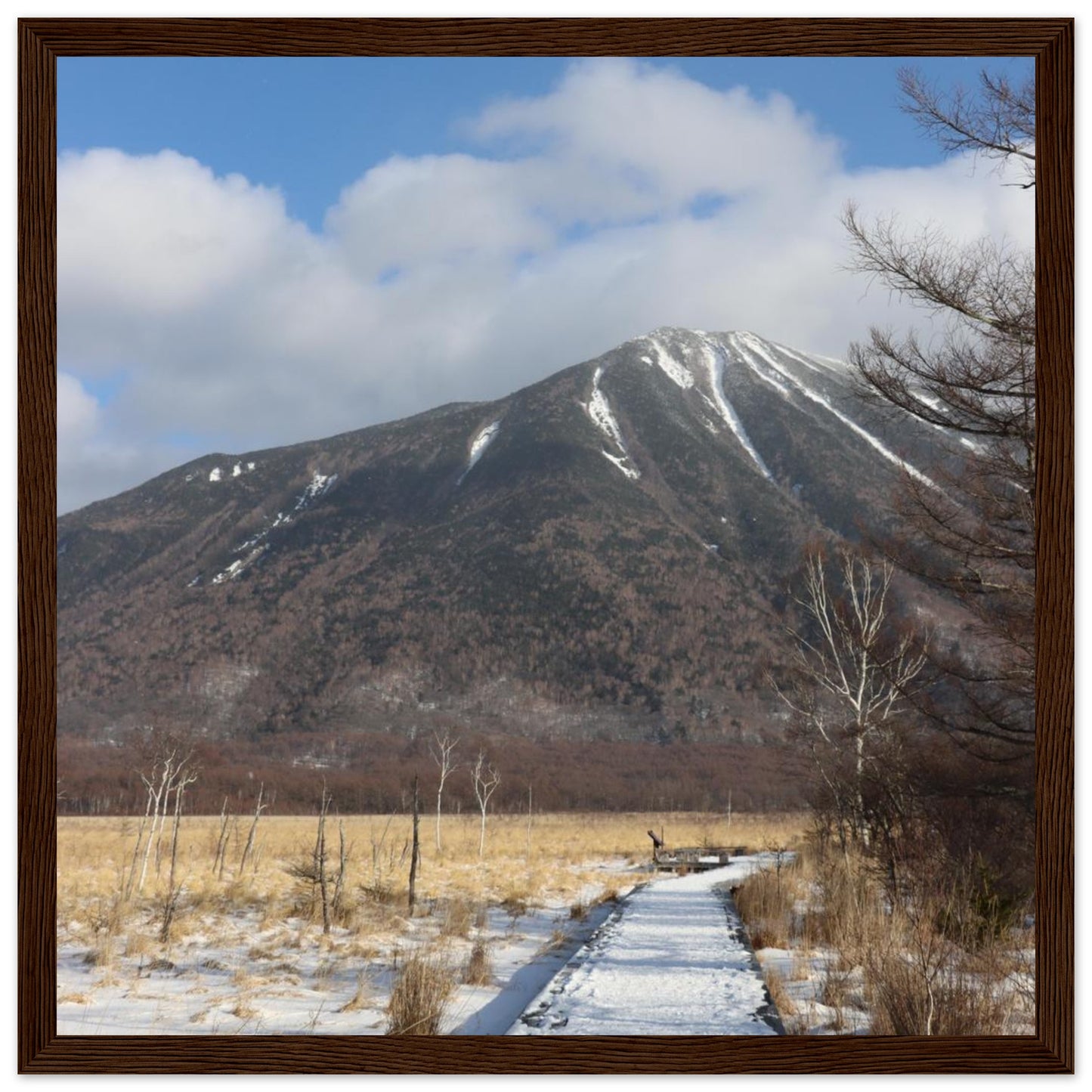 d391ce47-3ba1-4fa3-aeab-0f4fd598a514