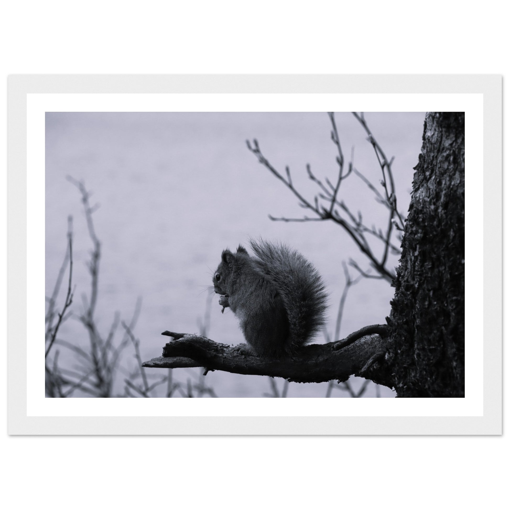 d48071d1-1ff0-4c2f-a620-c32aacf7177a