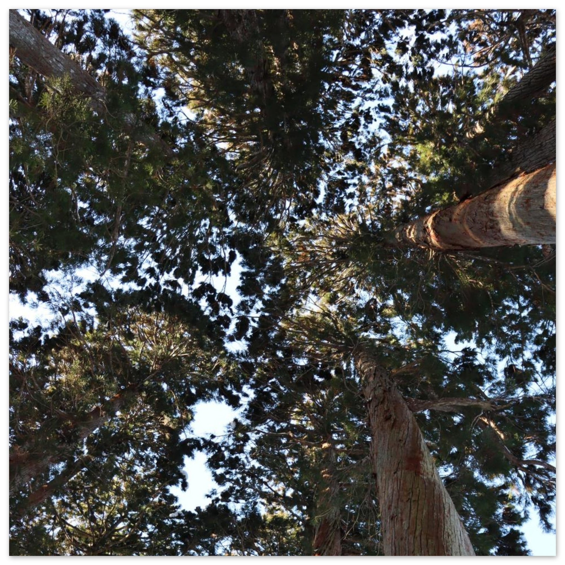 d5452a6f-0d9c-4006-b599-9d4d2536f686