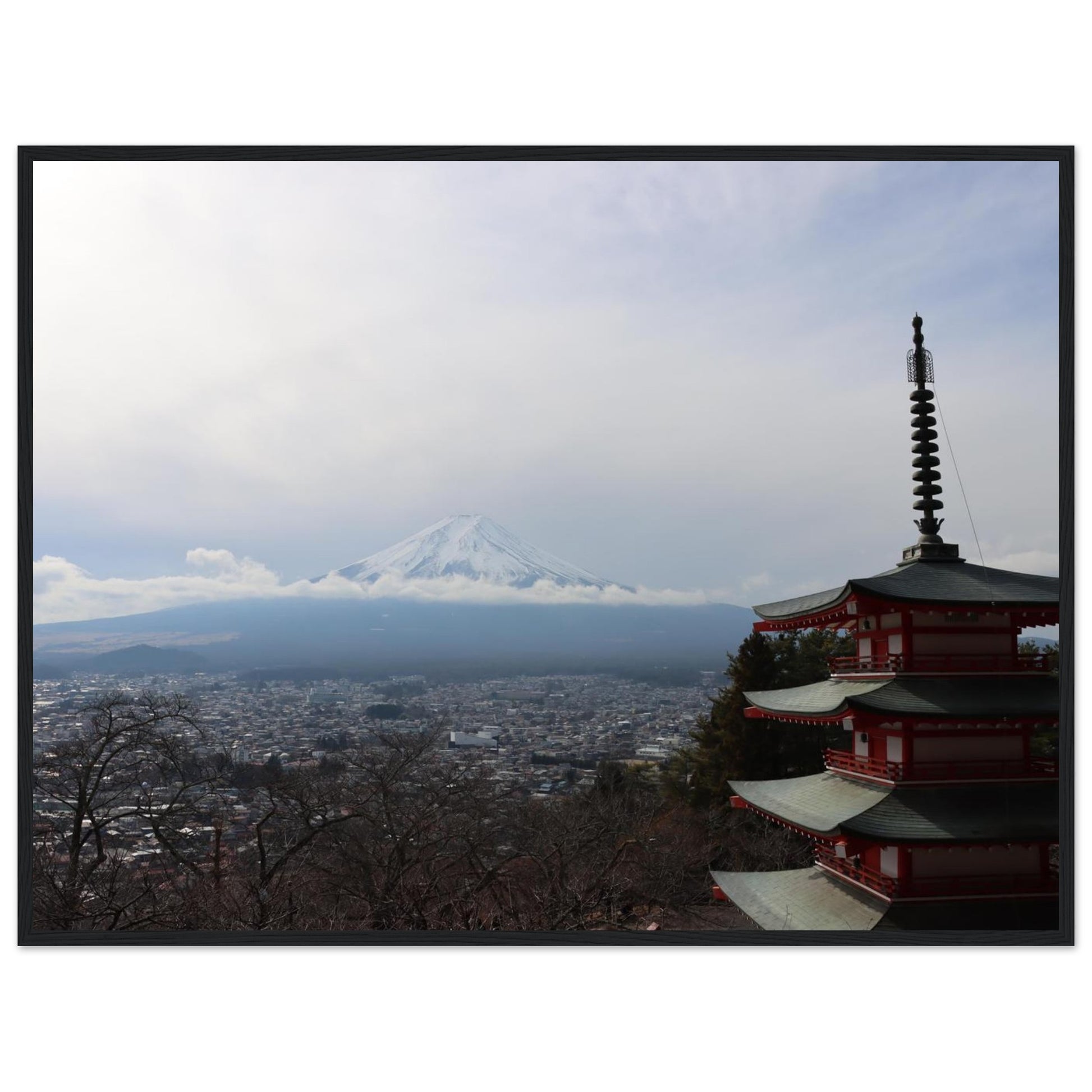 d5b303f3-b878-401f-8948-6140cedb8955