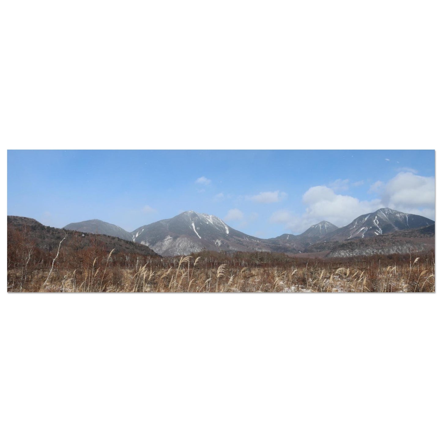 d65aa3e7-9808-4d03-923b-005cb3e87da6