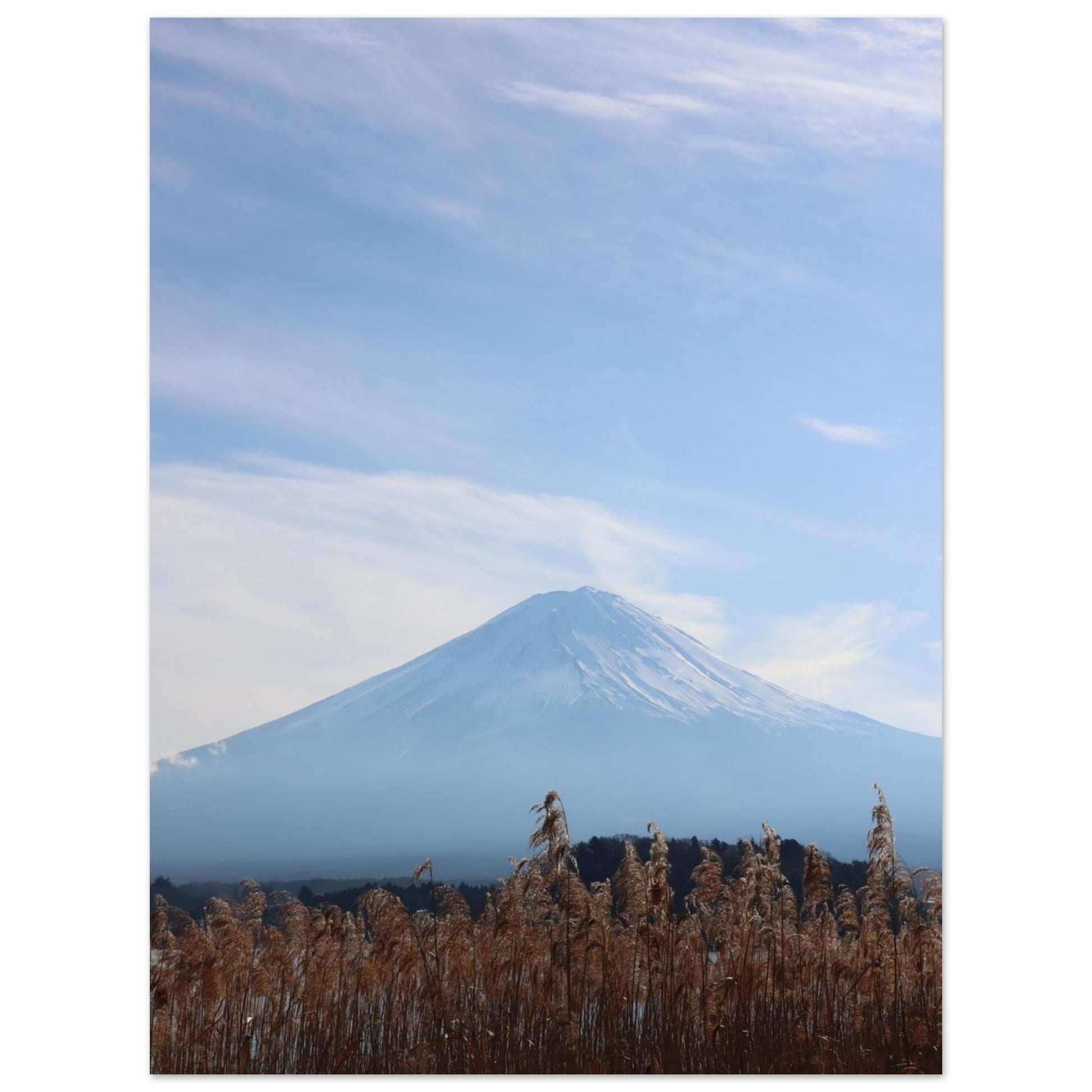 d68c4b54-569b-463e-84da-fcf6a3938802