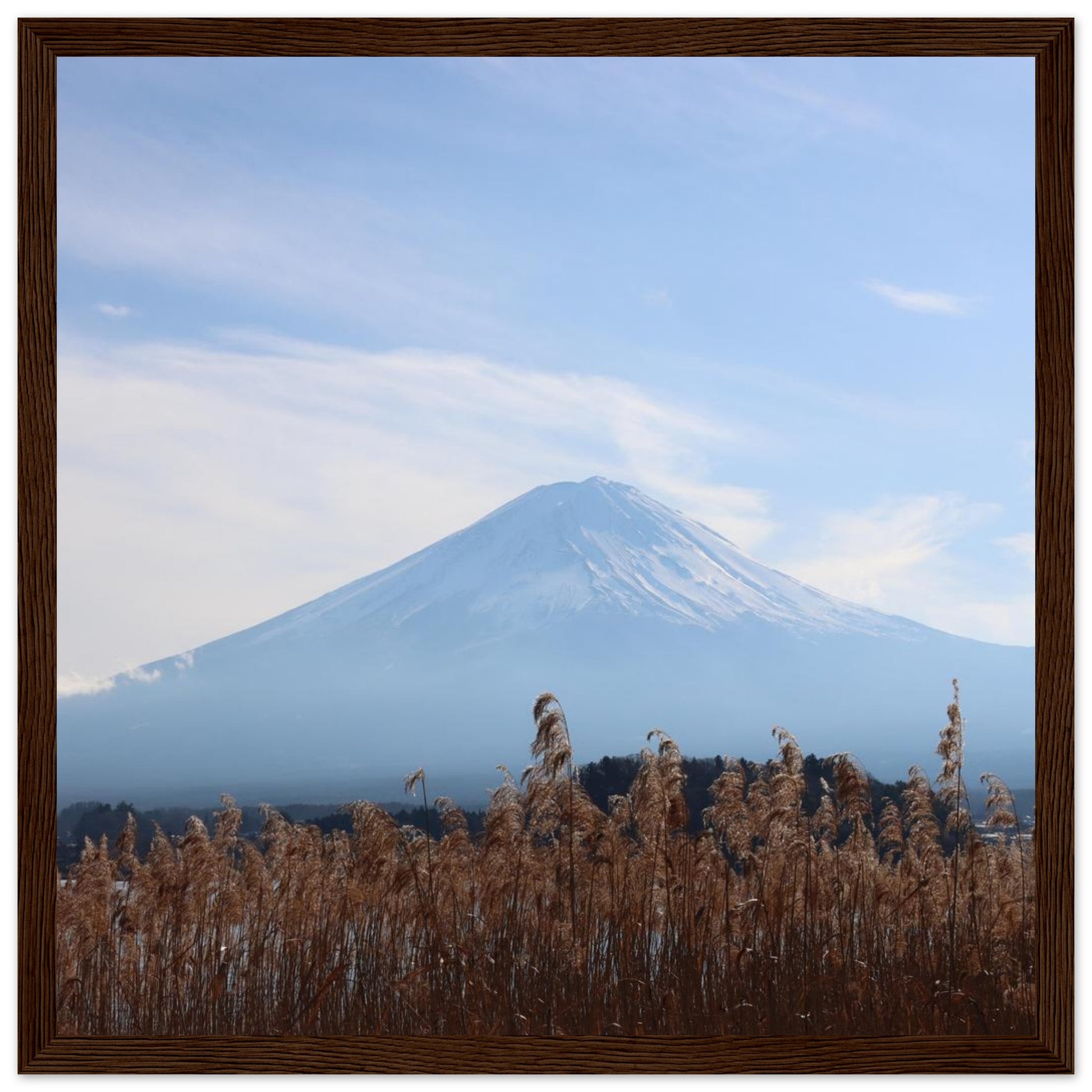 d6f27ba4-d8e4-4610-ae99-c8308dd3684f