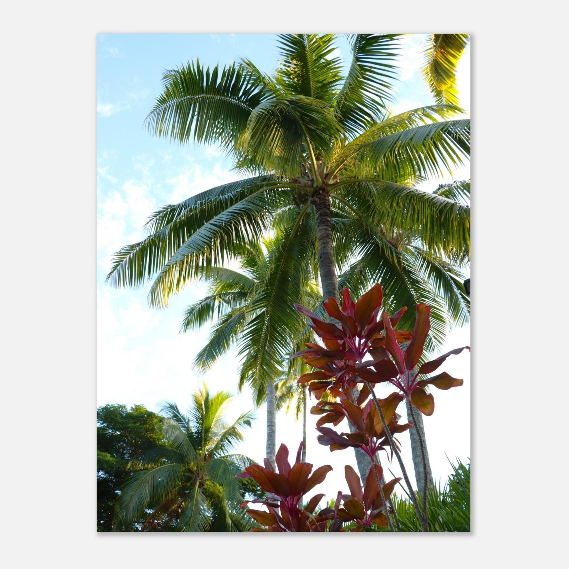 d7f749f3-603d-430b-bcef-042872f64687