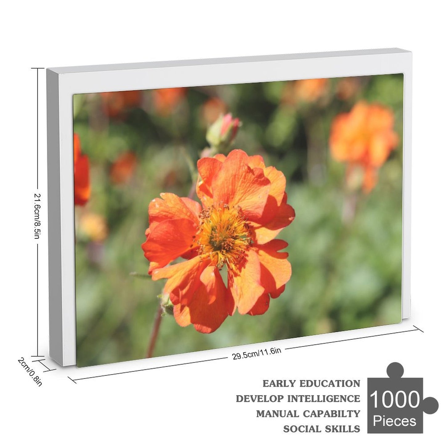 Orange poppy - 1000-Piece Jigsaw Puzzle