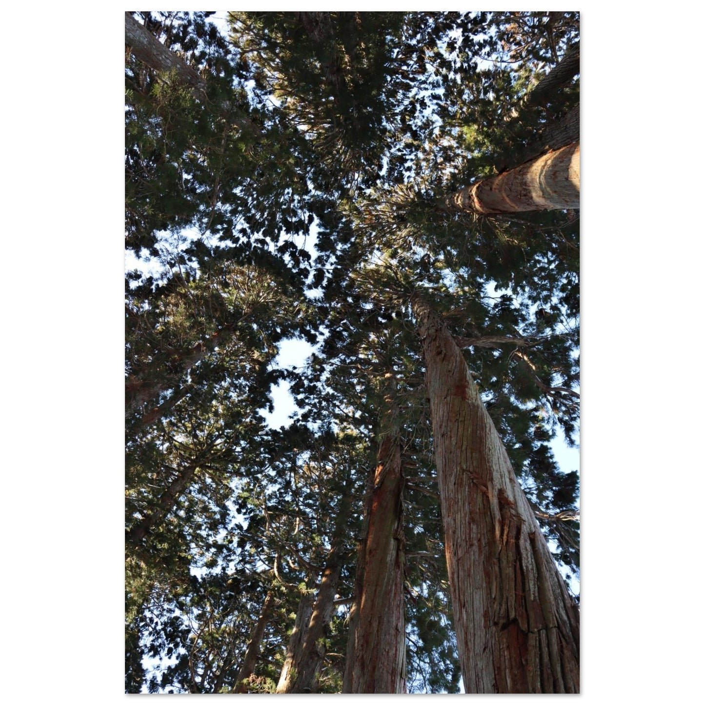 dc2f8dec-1cd2-4f67-9eb1-20cfef0d102c