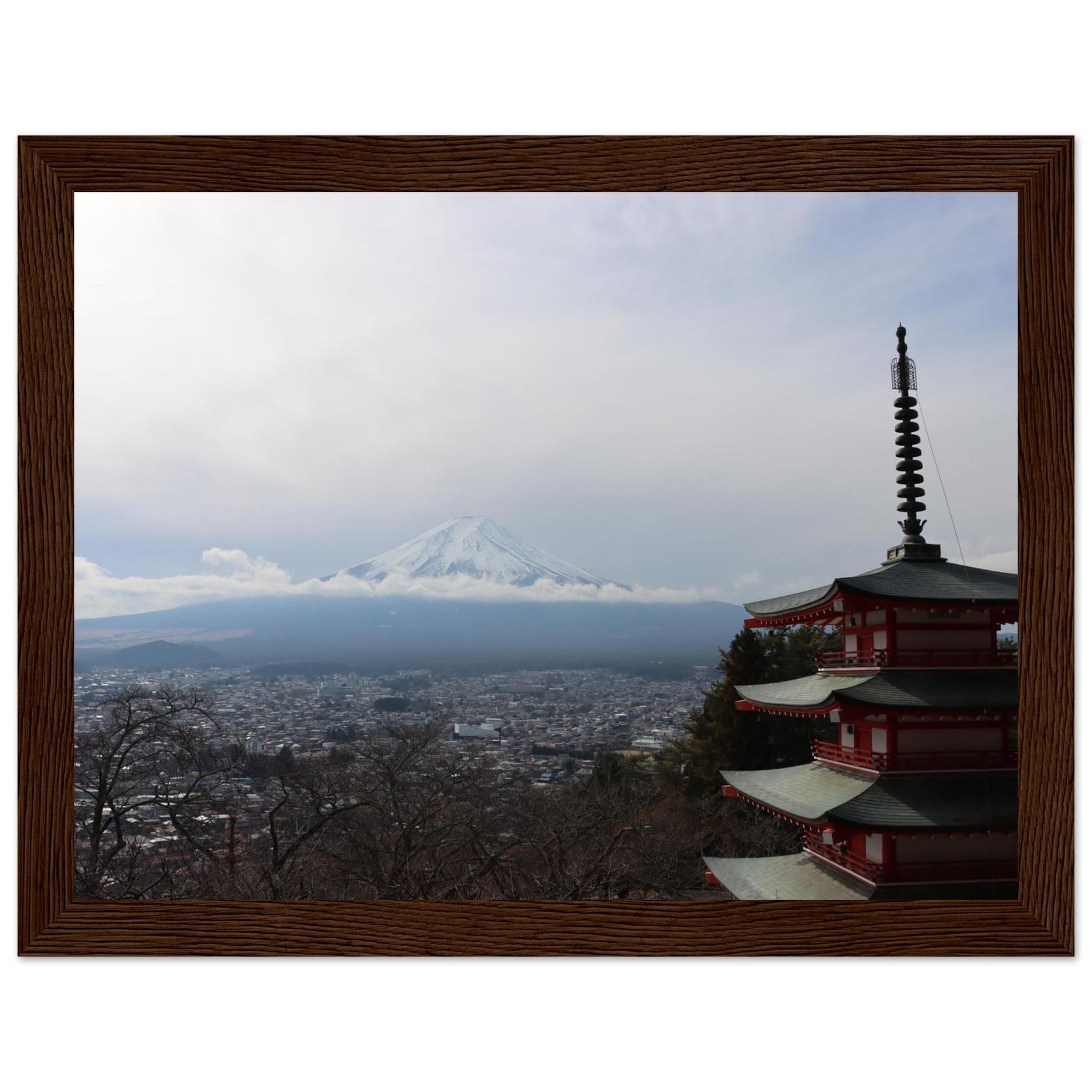 e01e3d6e-eb84-4531-a92c-8eb9b93a9b37