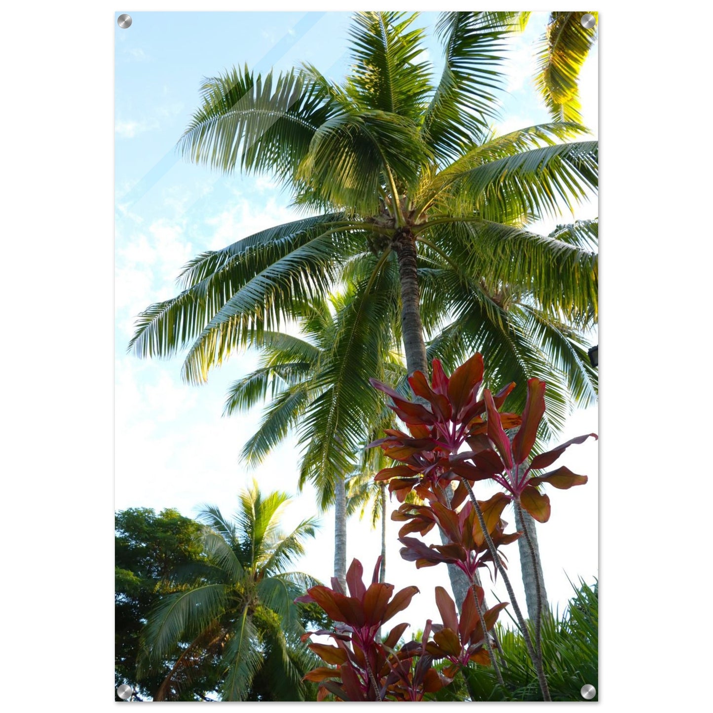 e1400e5d-b75e-48c7-bf3a-c33c309e665c