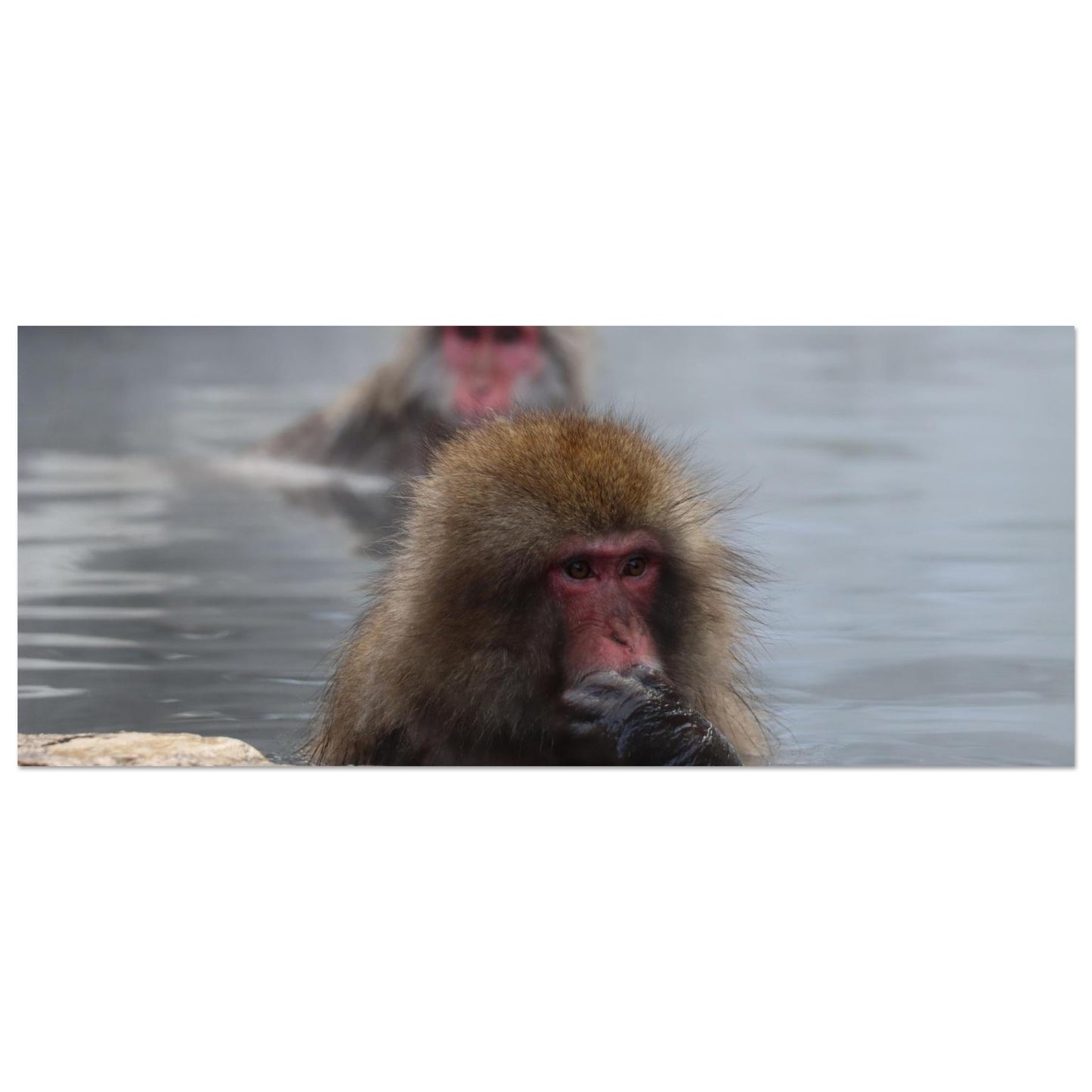 e1b3d716-e0d1-43ab-b65b-4a8dea914af0