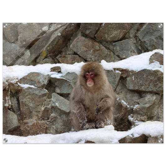 e20addfd-bfef-4d66-88e2-8ea5bccdf8dd