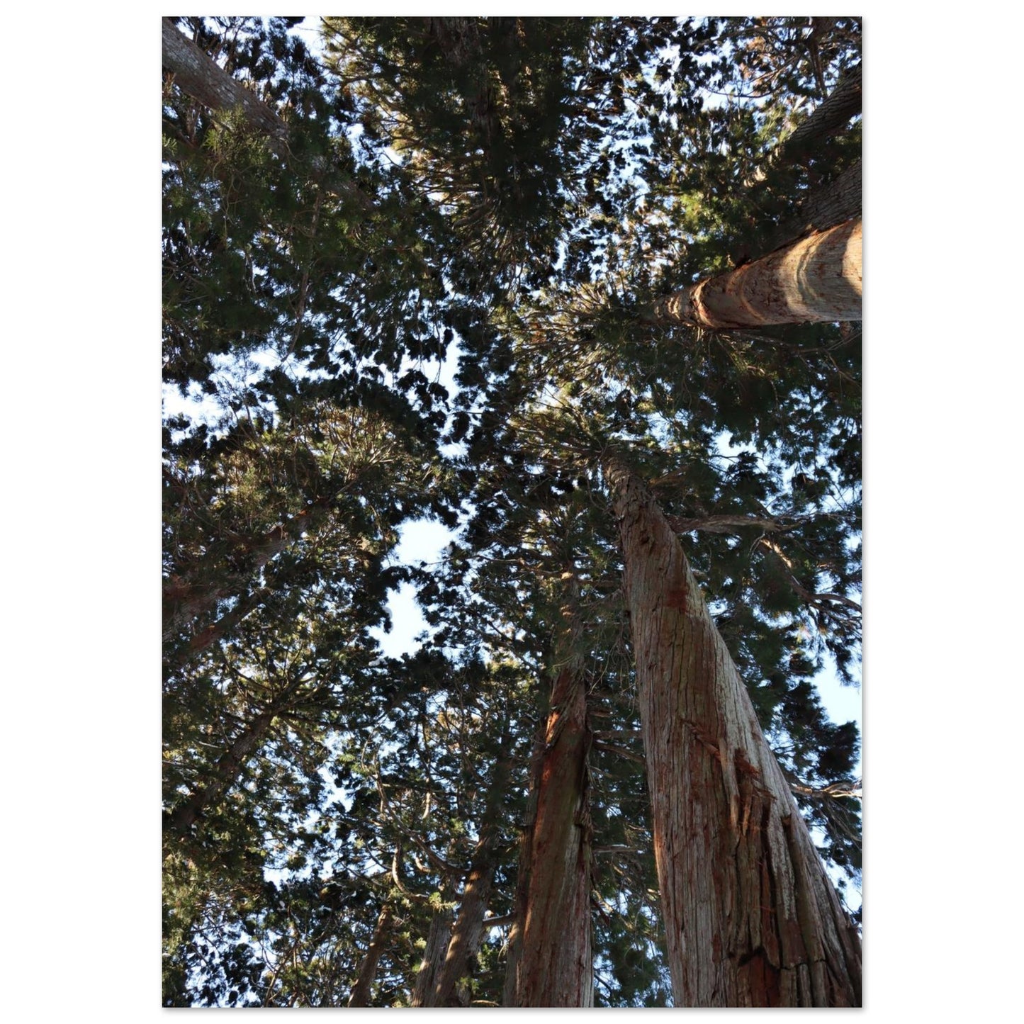 e31cd748-1423-4763-b5cd-41c0cdc7304e