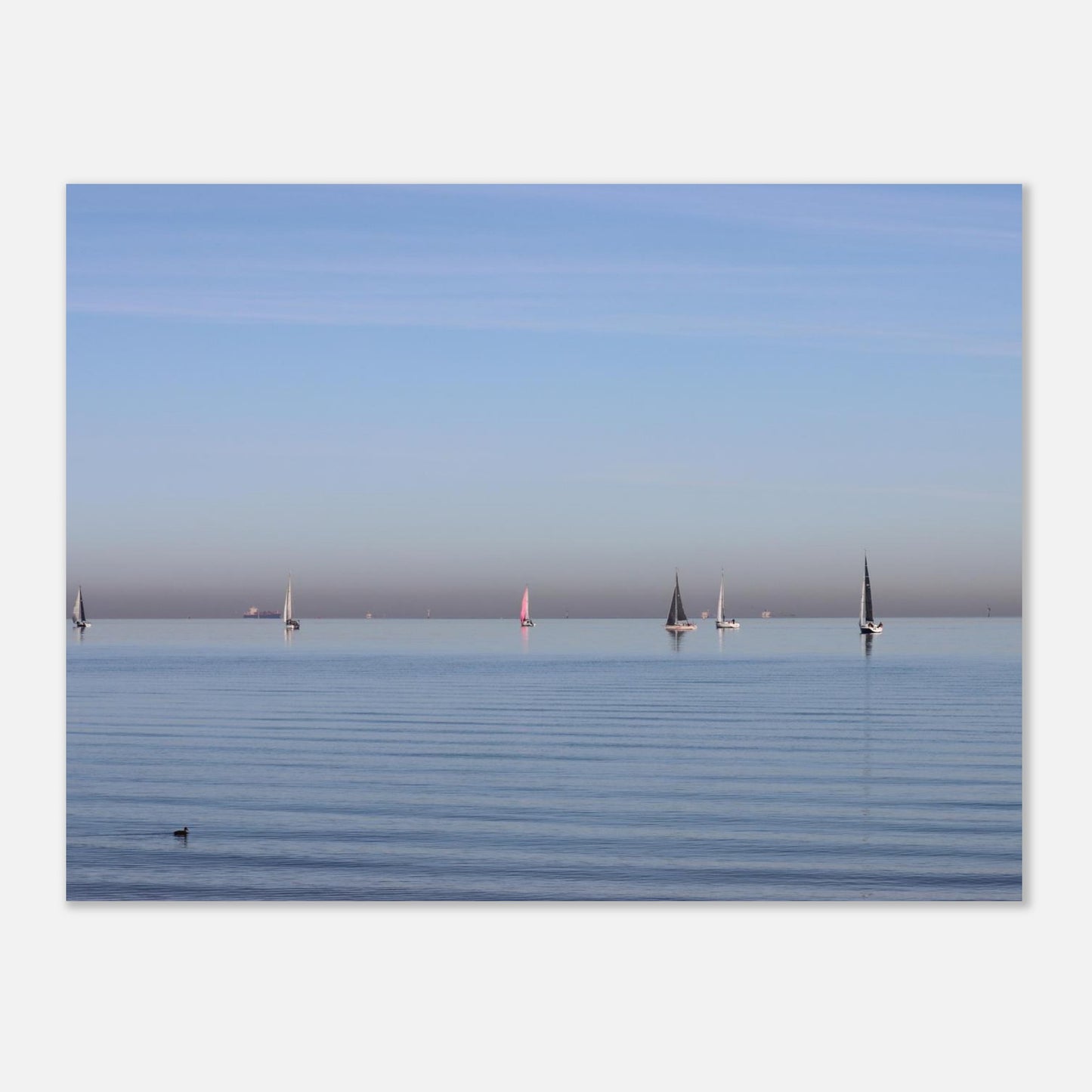 e66d7dbd-e826-49d2-912e-383af4ab5c15