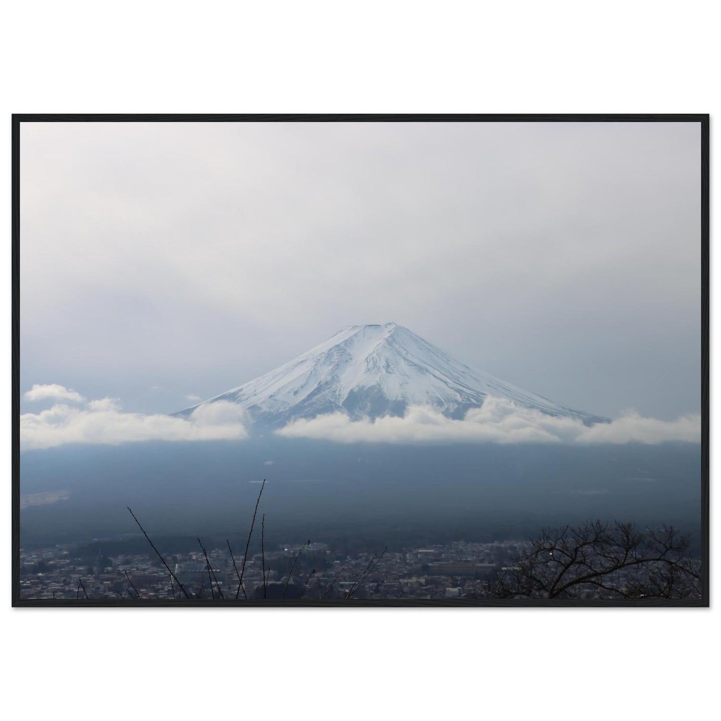 e92c0369-45bc-4e36-8227-1a653a335966