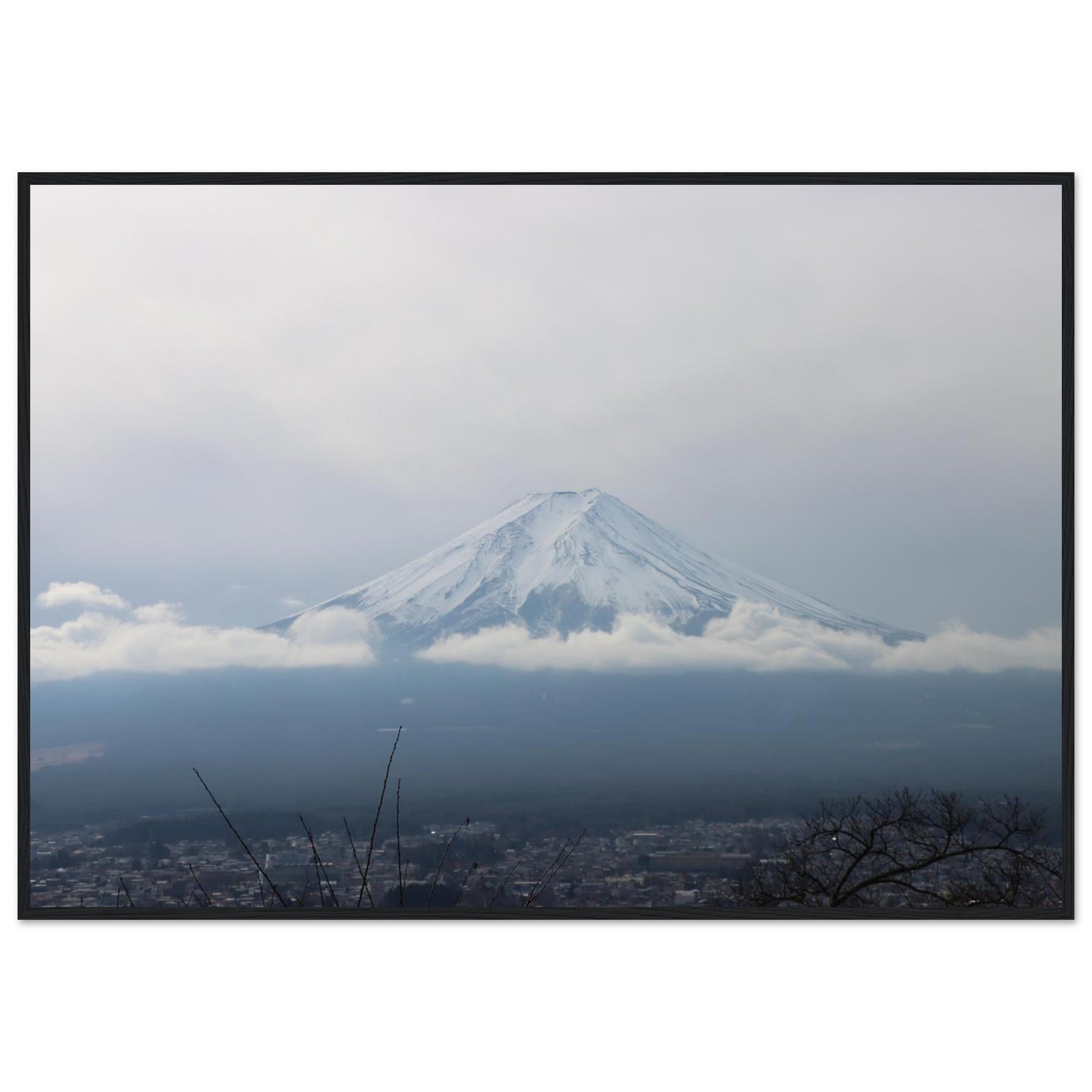 e92c0369-45bc-4e36-8227-1a653a335966