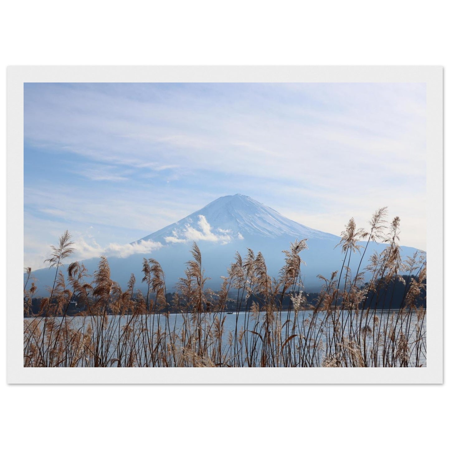 ef9c6b86-d1b9-4986-b82f-9683e163ae97