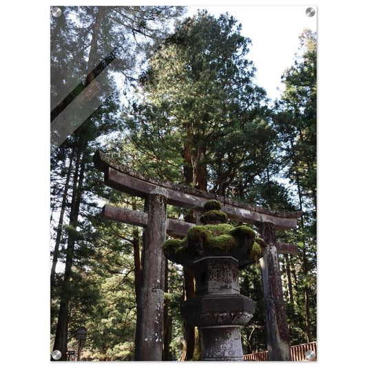 f04e4513-1a4d-46a4-a959-4cc7a86d7aa1