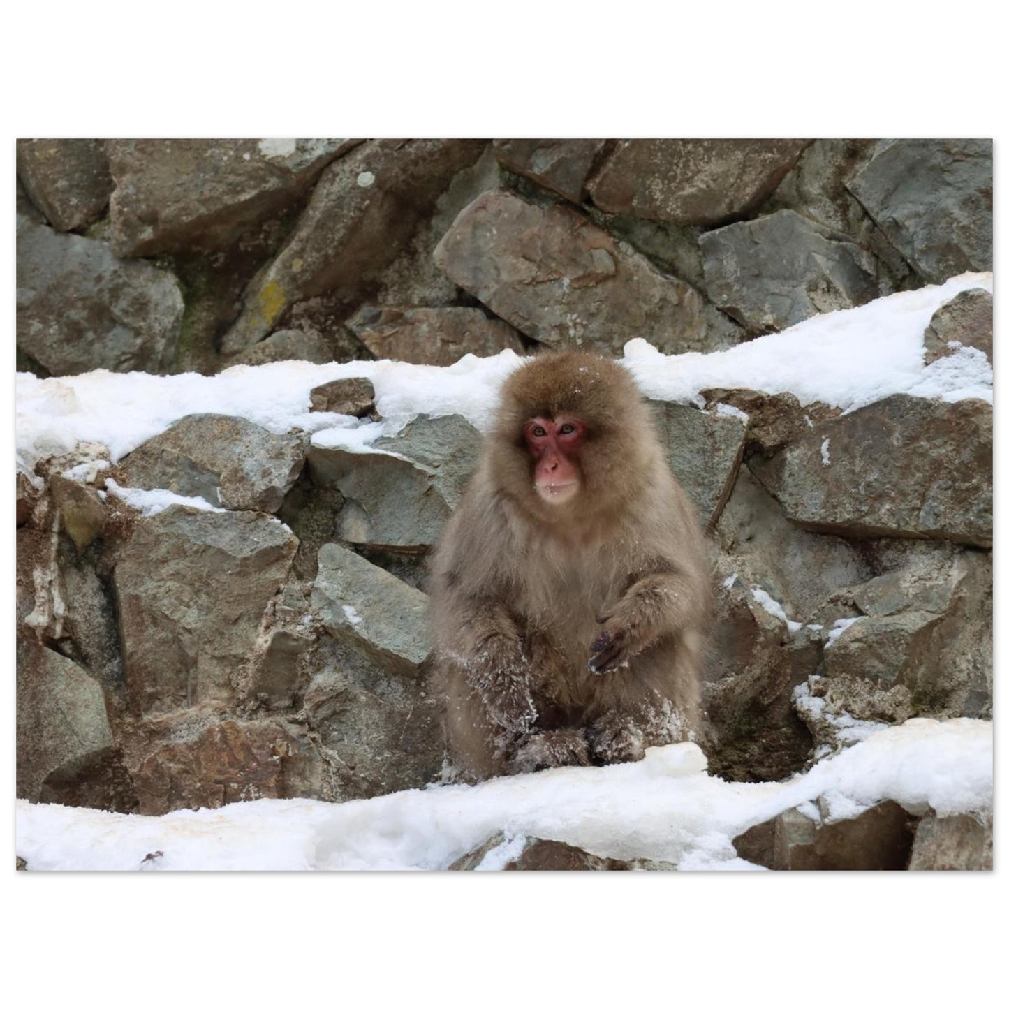 f26e68aa-f432-4733-af70-aa16b59ceae0