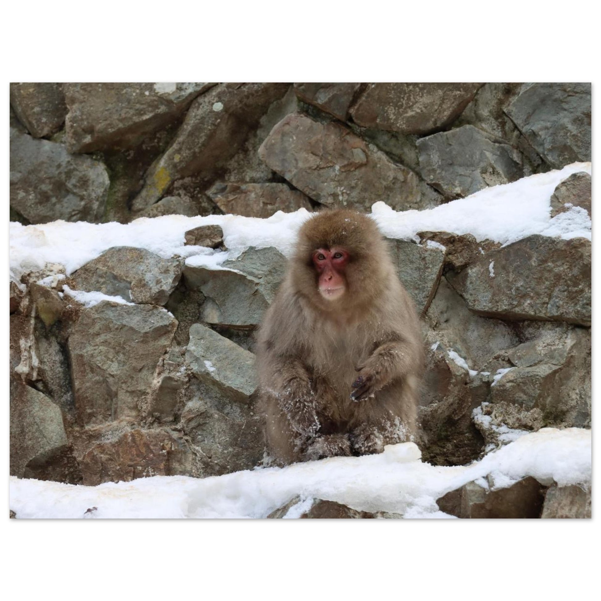 f26e68aa-f432-4733-af70-aa16b59ceae0