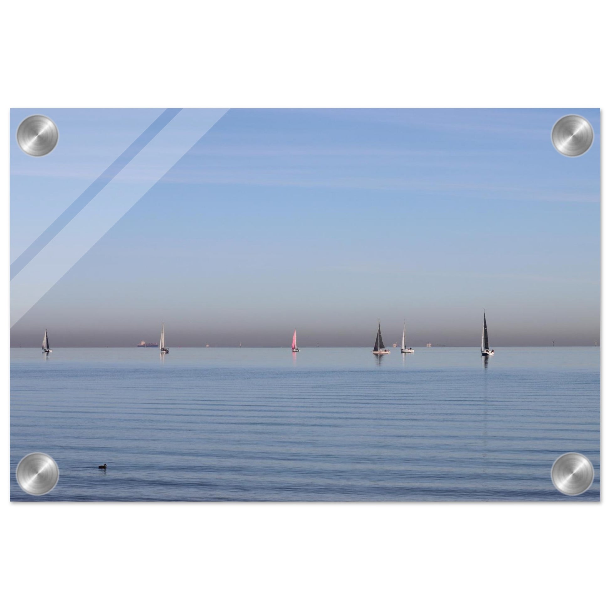f39f3a5f-56b0-41e4-b53d-409010b5ff0d
