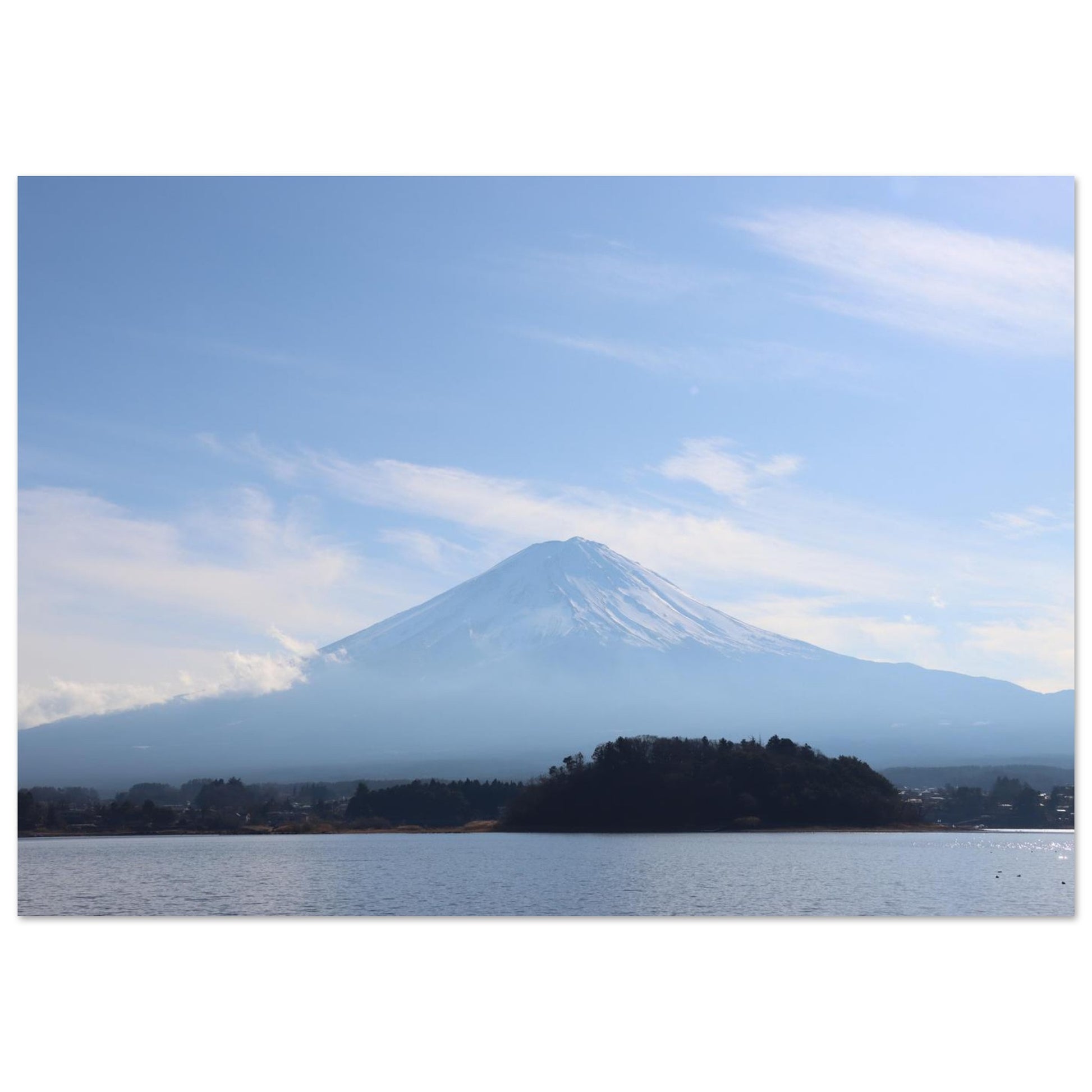 f5b637f0-49a8-4c89-a11d-ed8a5648ab56
