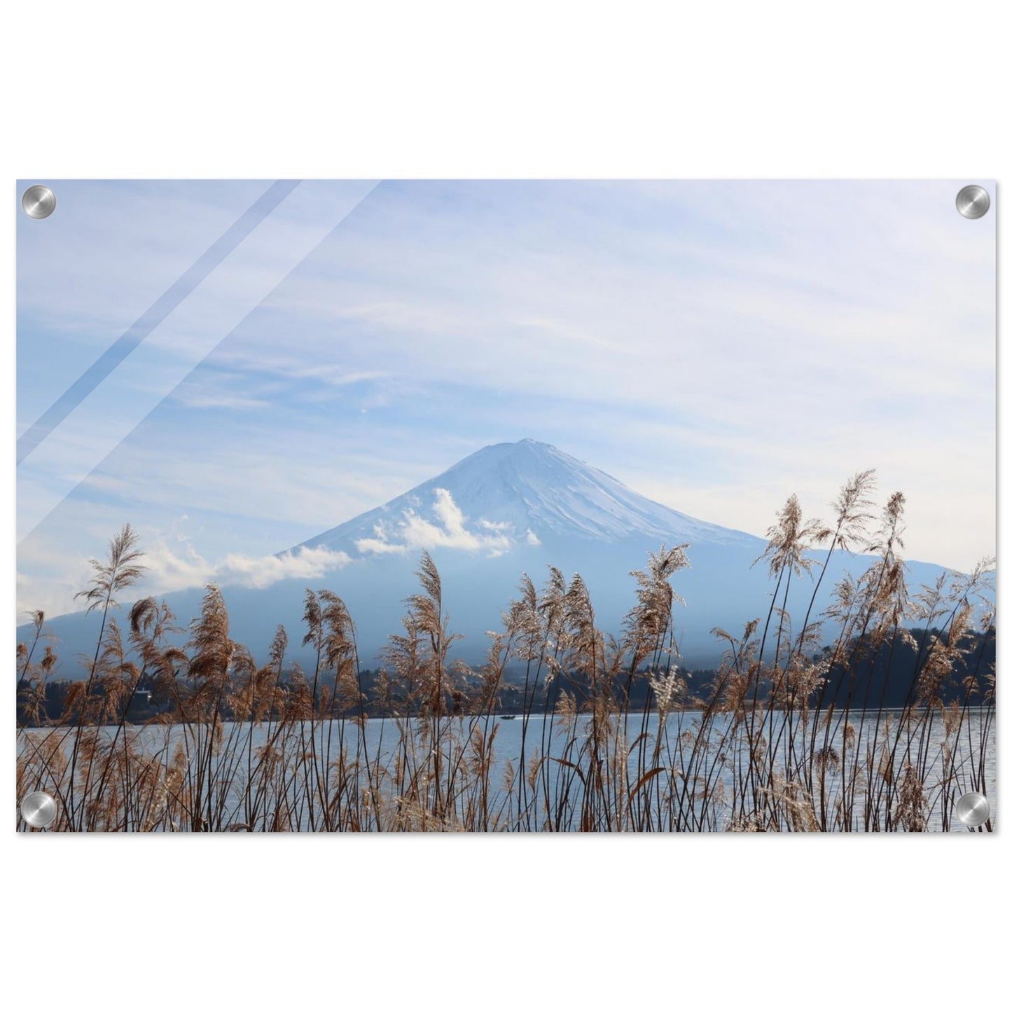 f7099a68-65f4-42db-a820-f701d864b48f