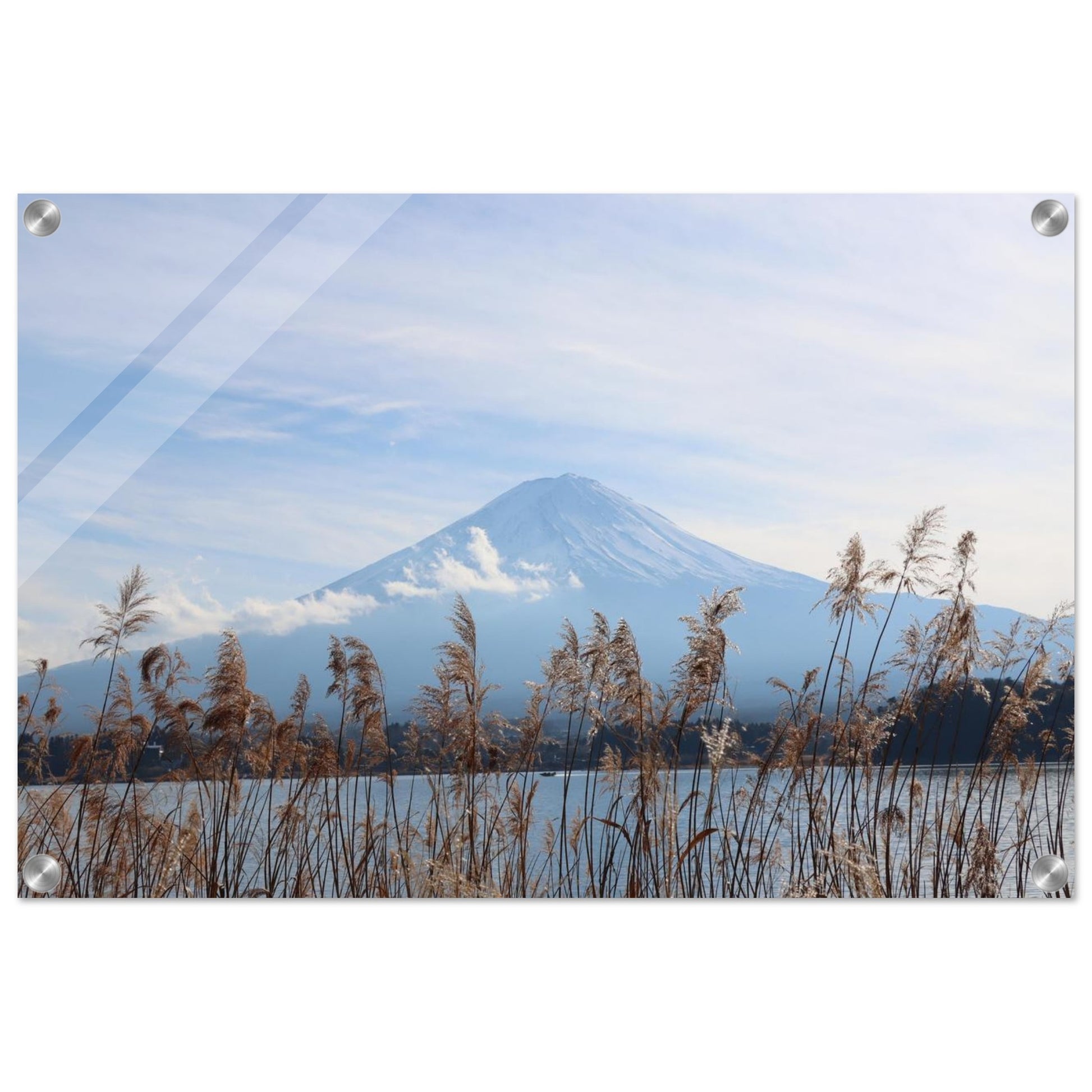 f7099a68-65f4-42db-a820-f701d864b48f