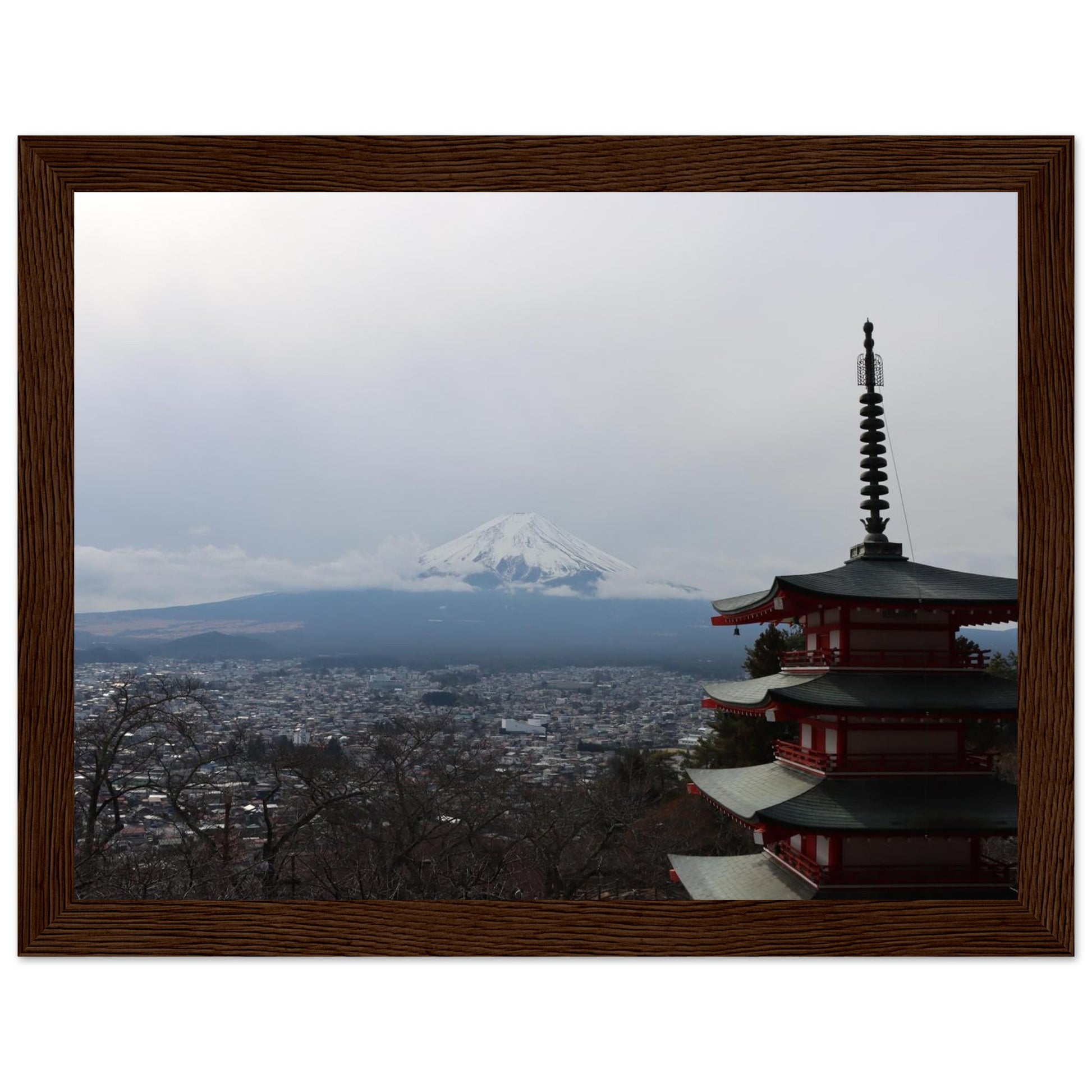 f77209d3-f734-455b-9c0f-e37229624235