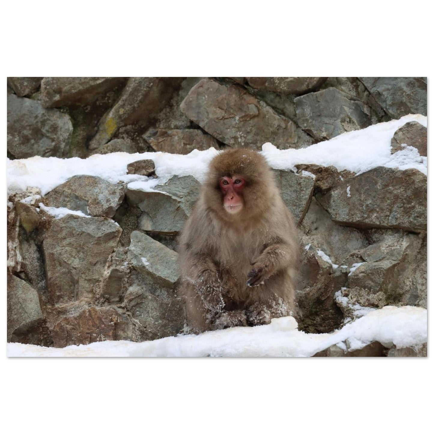 f773ba66-92a4-402f-8cda-0f5dcd763448